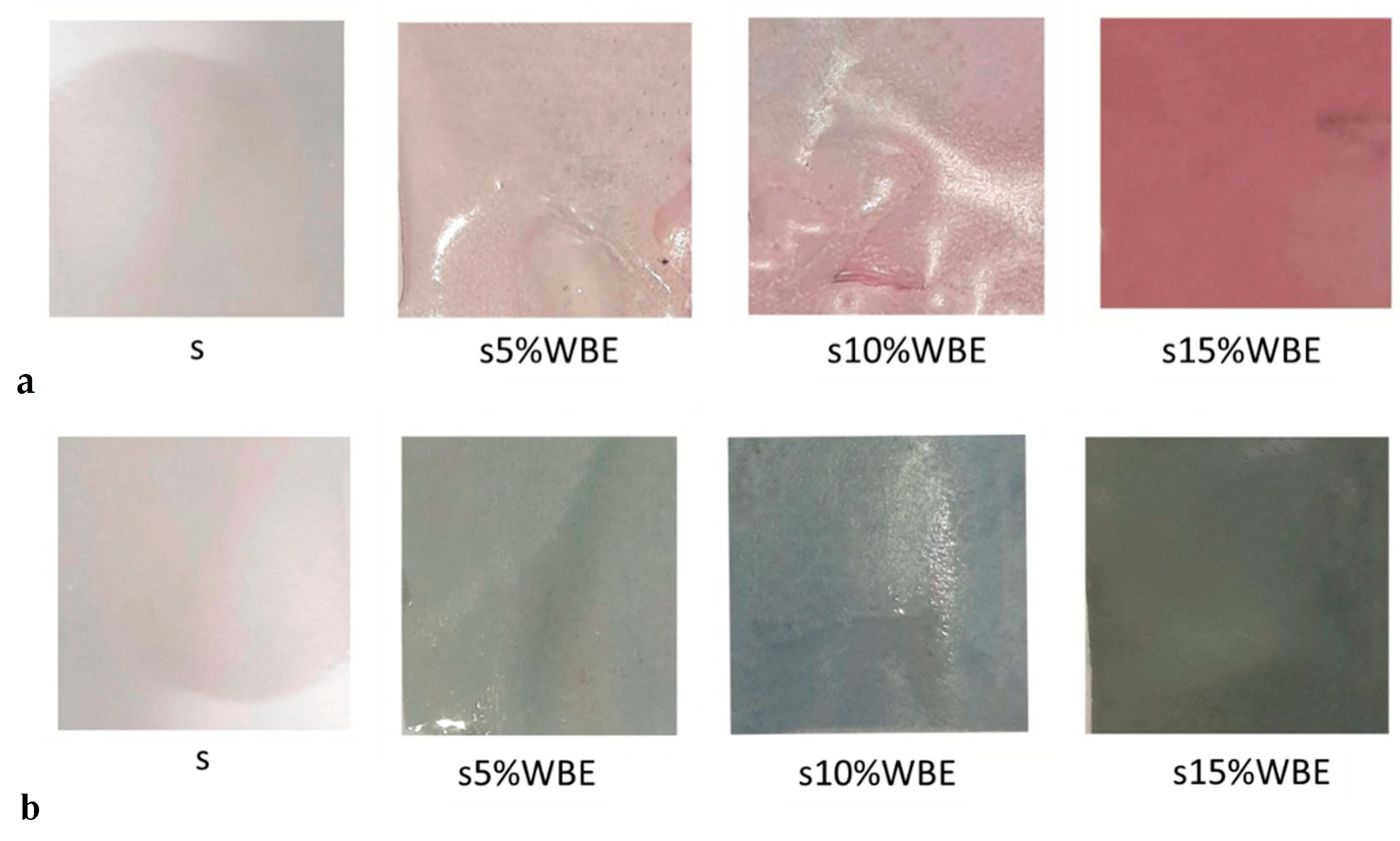 Processes 13 01148 g002