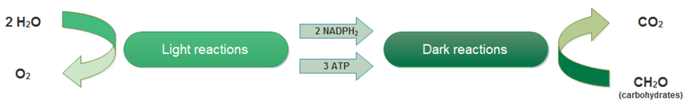 Processes 13 01159 g002
