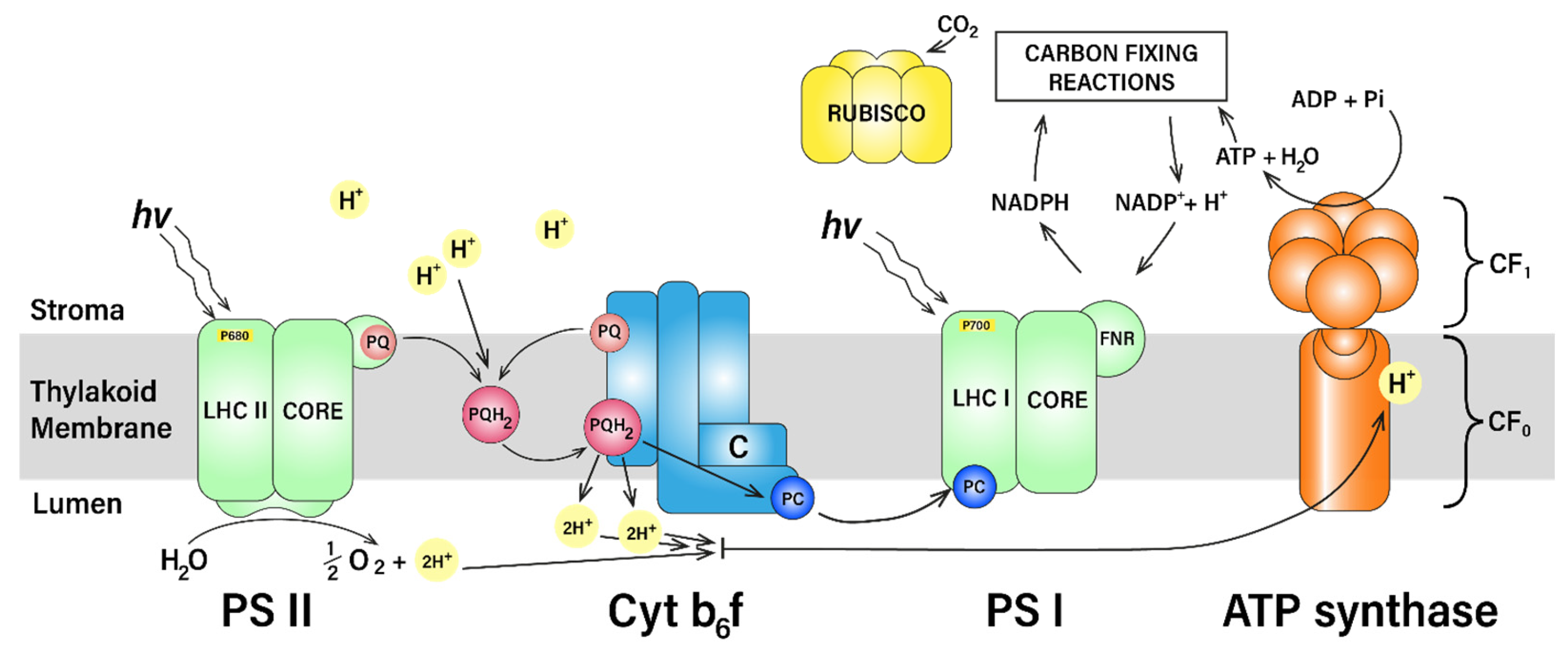 Processes 13 01159 g003