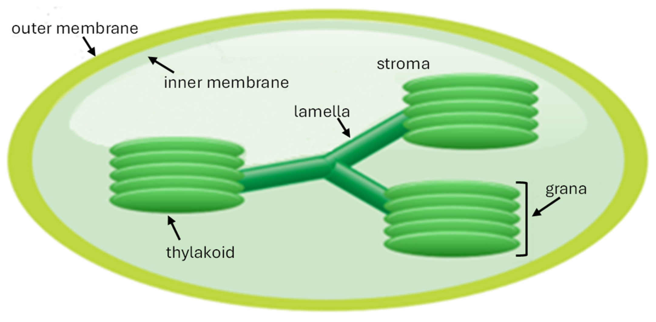 Processes 13 01159 g004