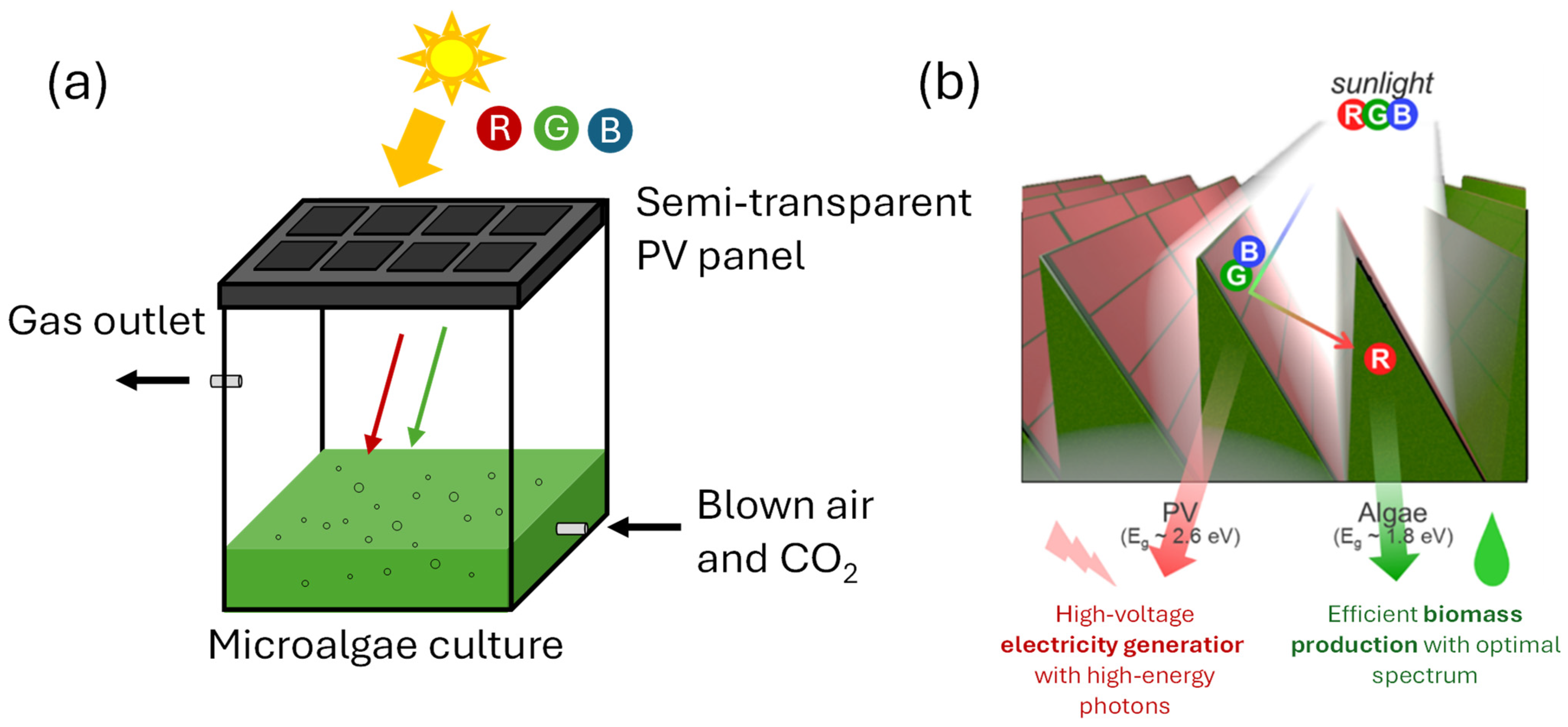 Processes 13 01159 g010