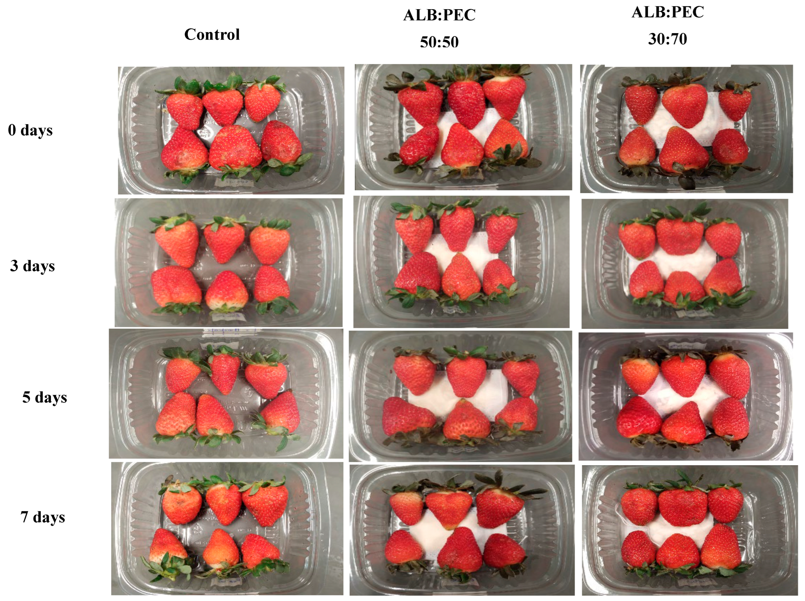 Processes 13 01179 g001