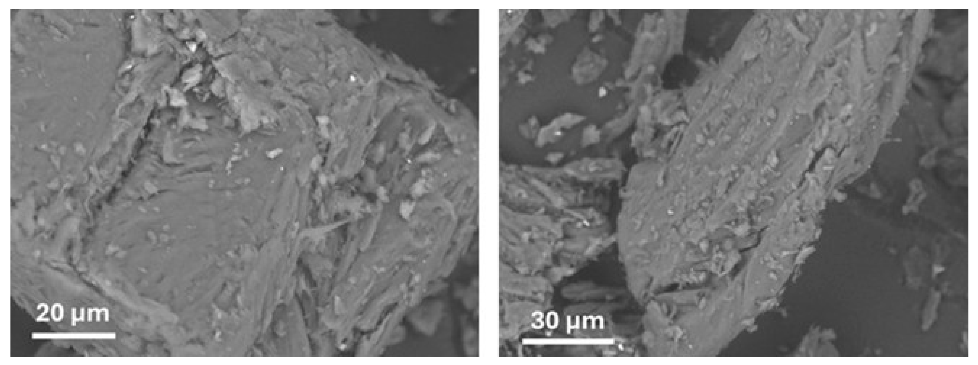 Processes 13 01181 g001