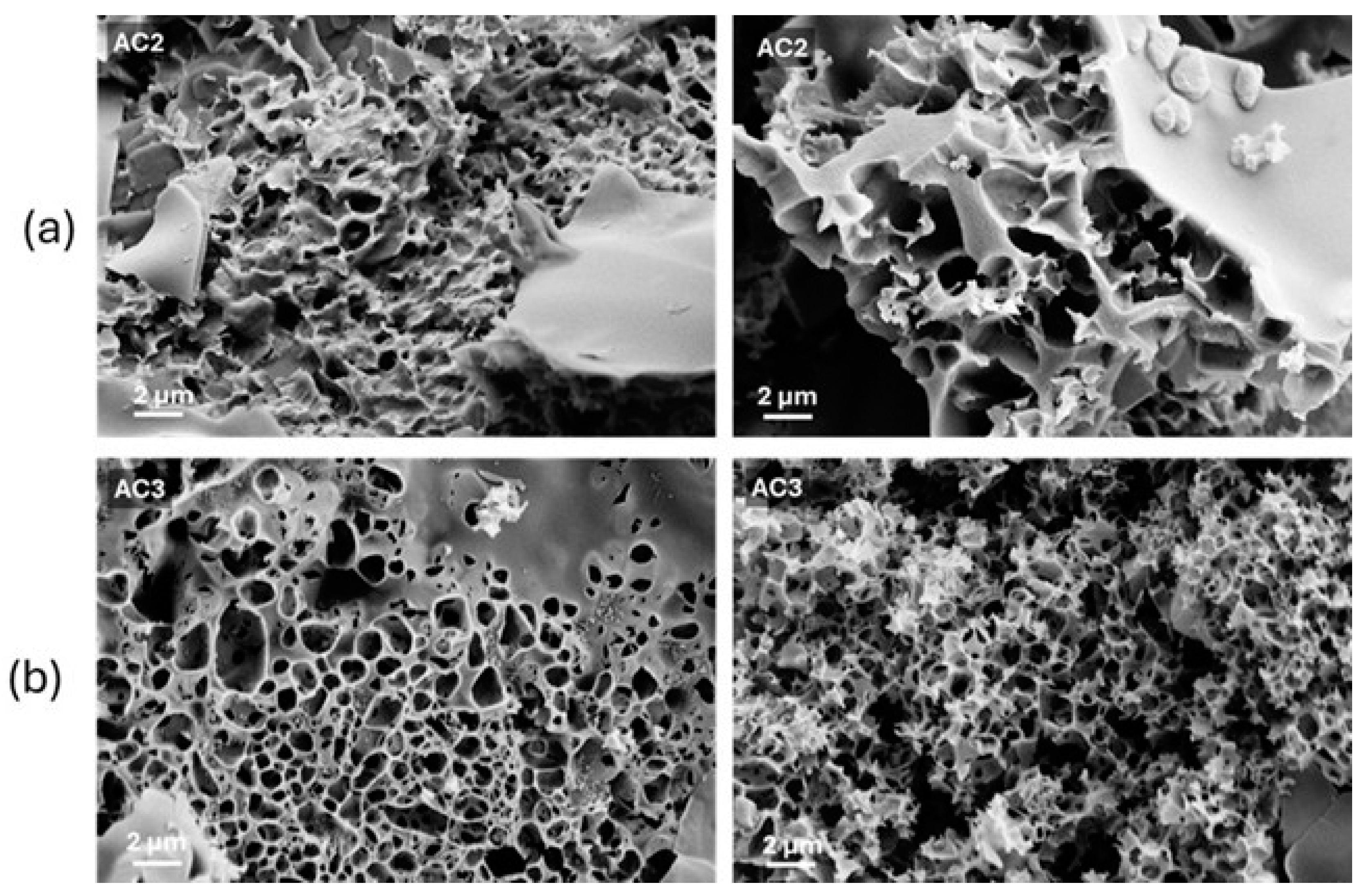 Processes 13 01181 g002