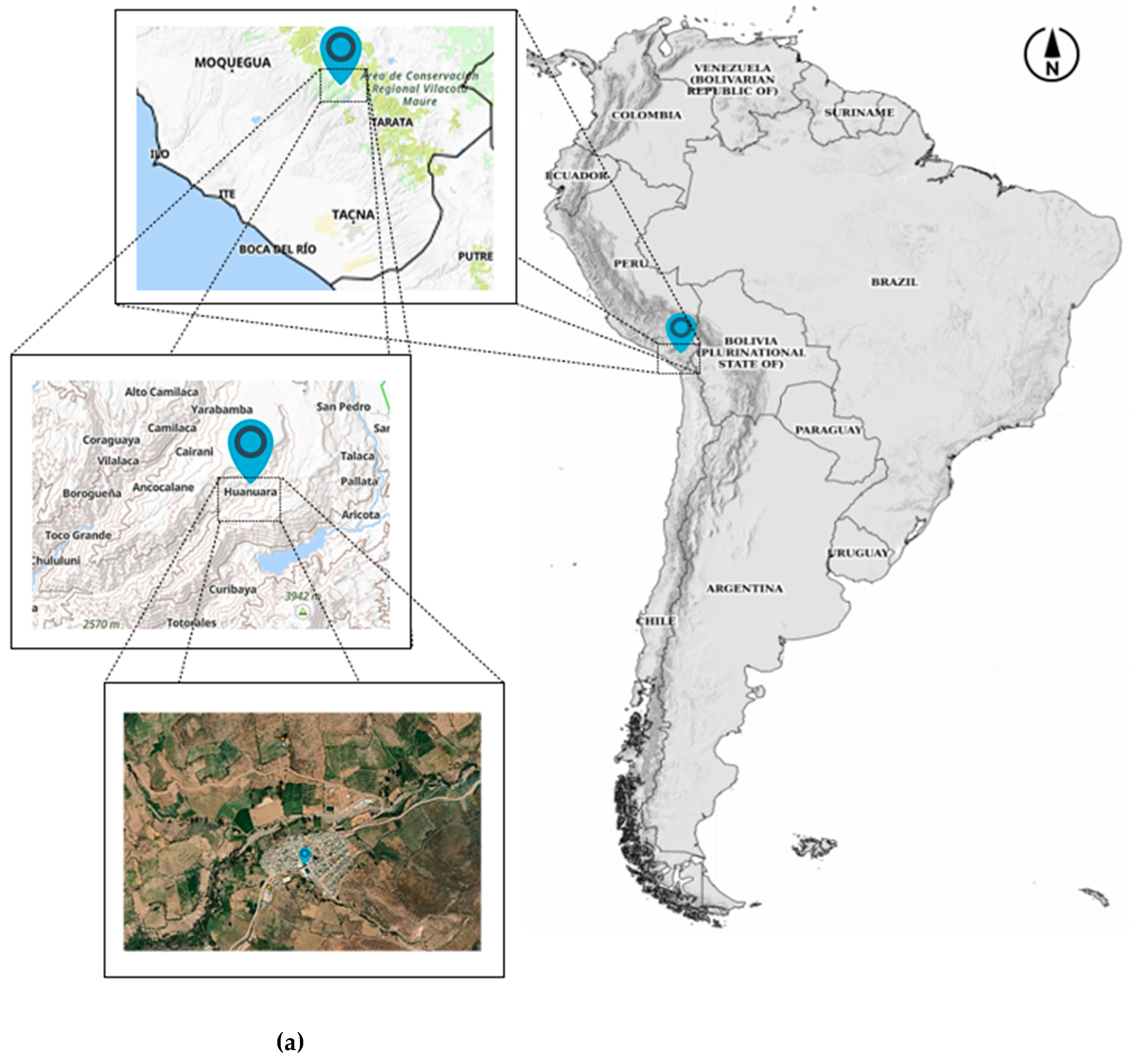 Processes 13 01190 g001a