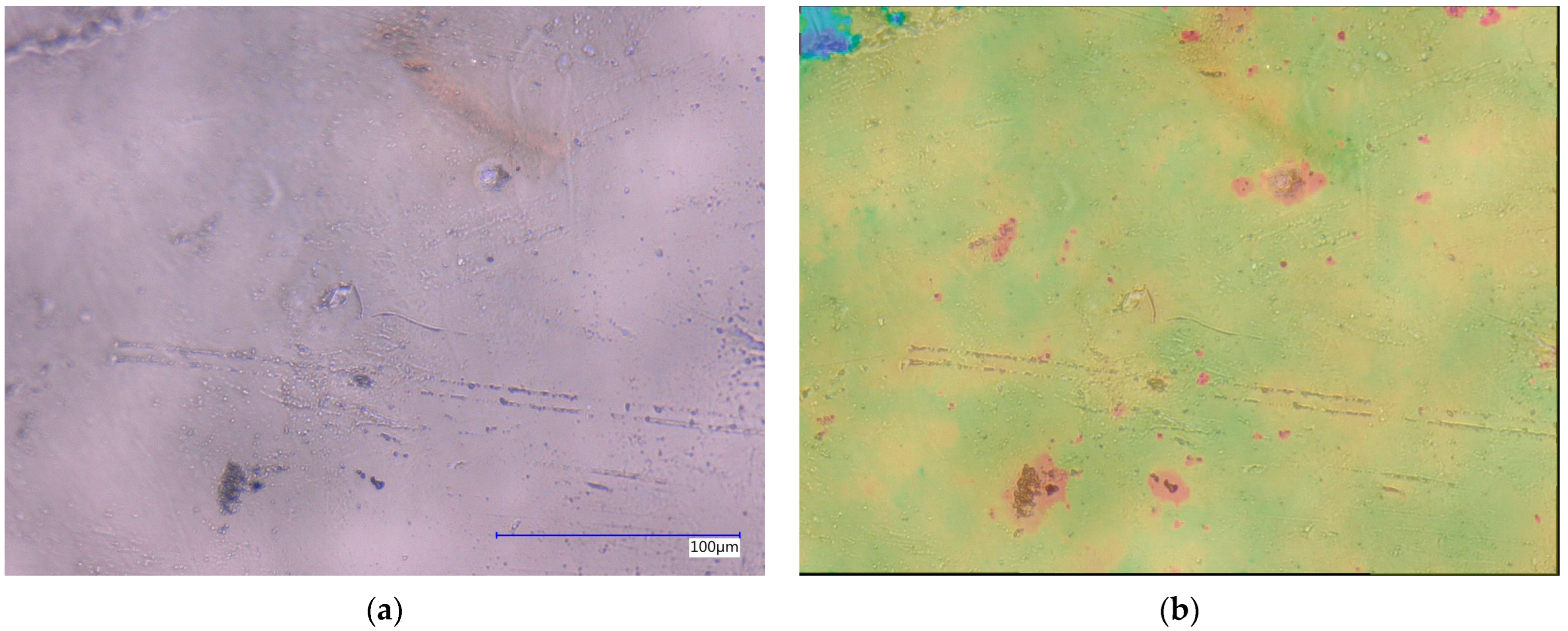 Processes 13 01197 g005