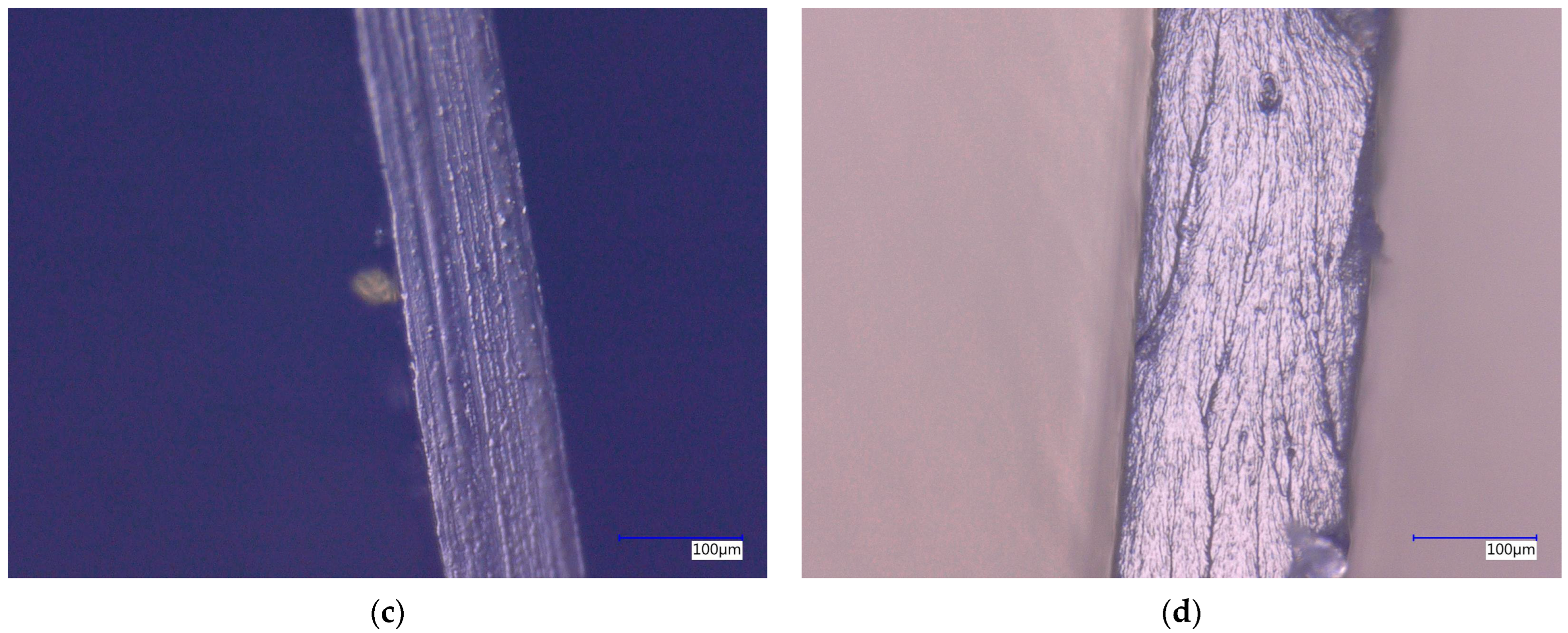 Processes 13 01197 g009b