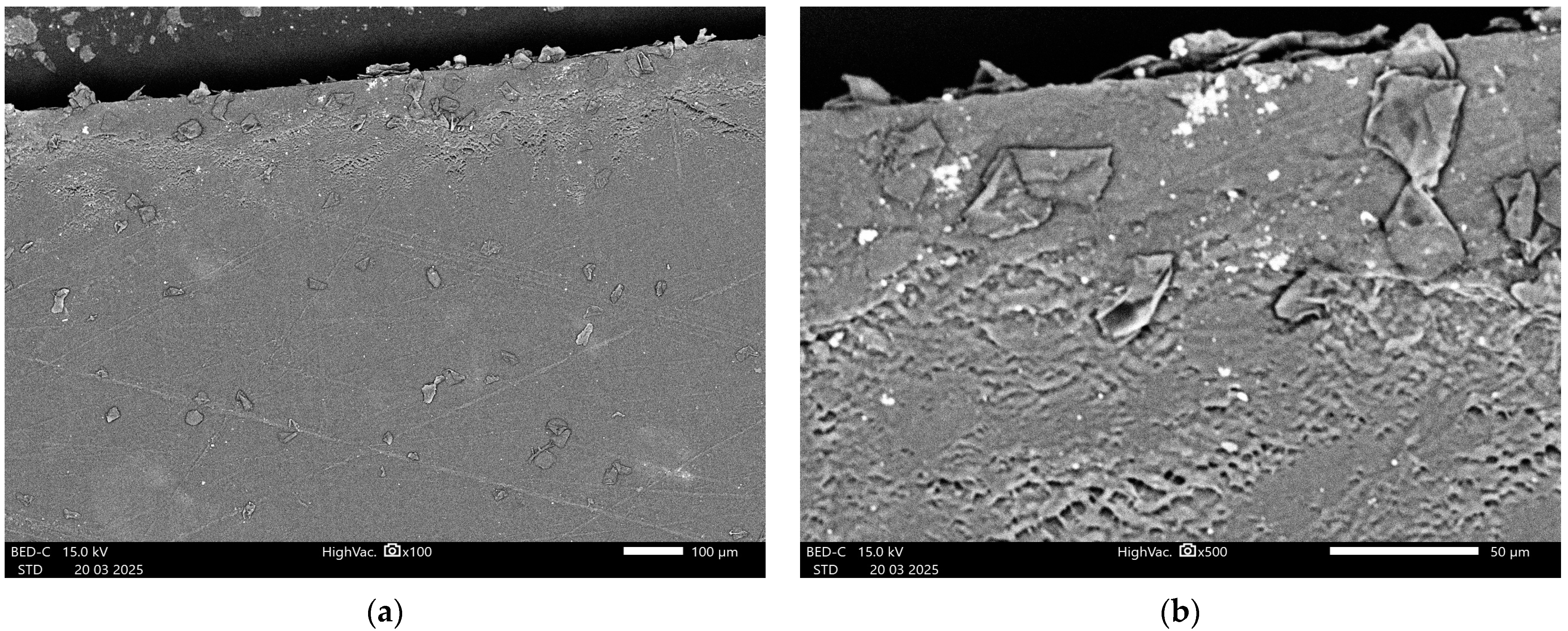 Processes 13 01197 g013