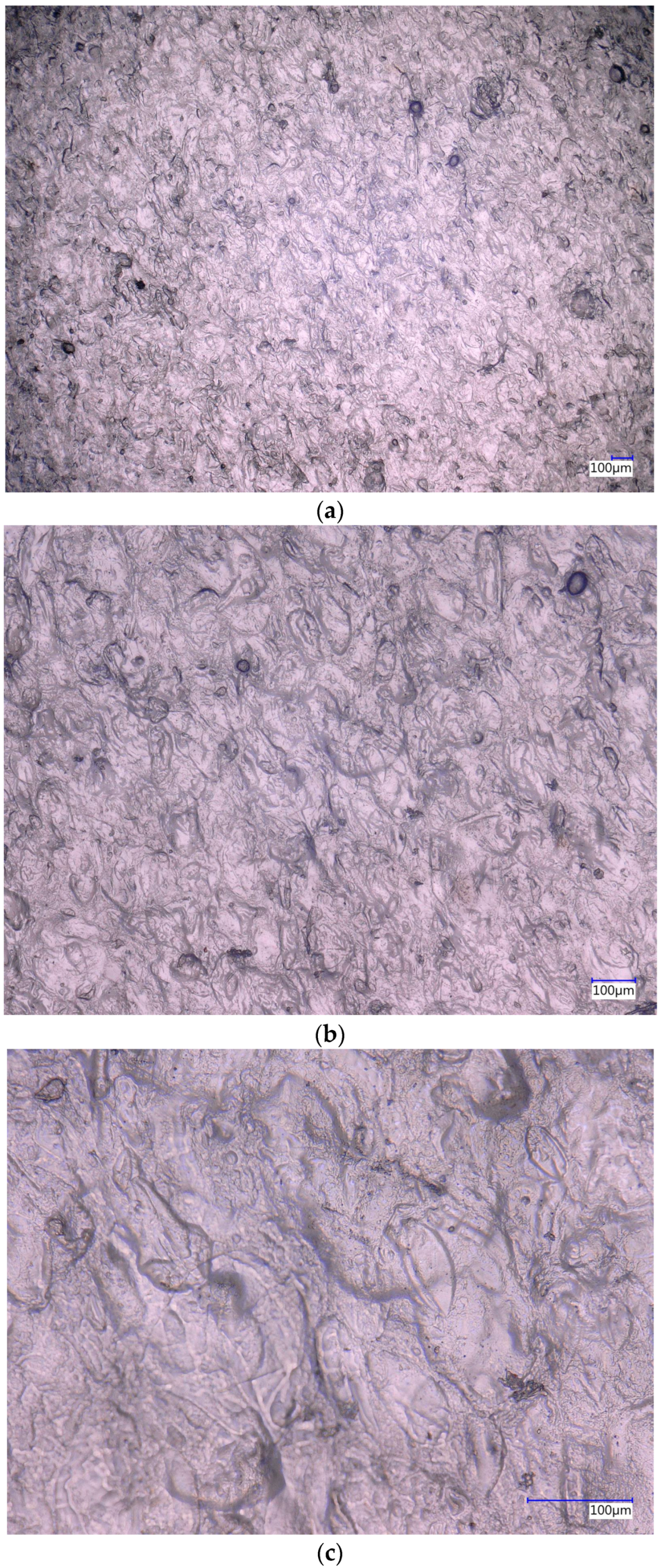 Processes 13 01197 g0a1
