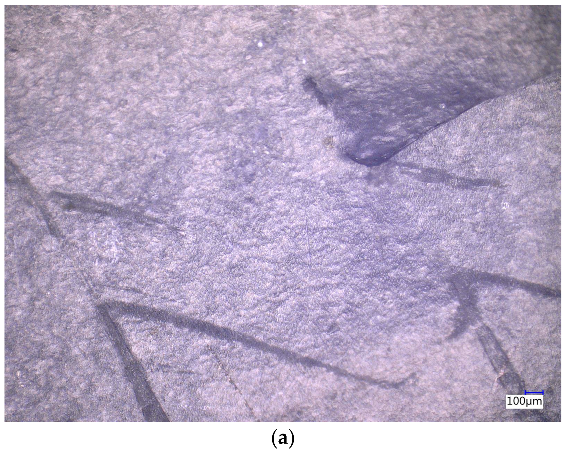 Processes 13 01197 g0a6a