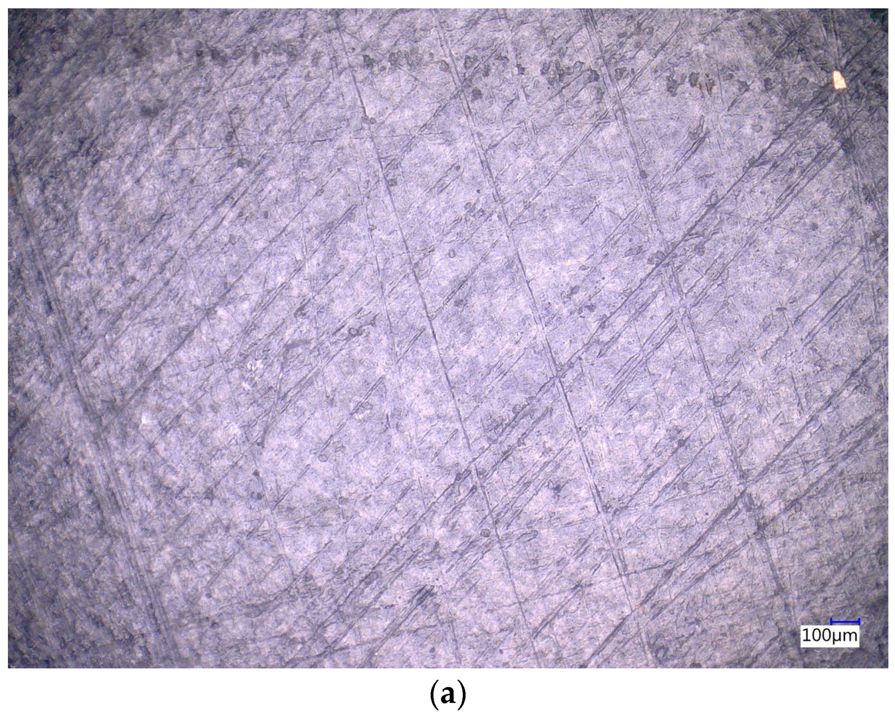 Processes 13 01197 g0a8a