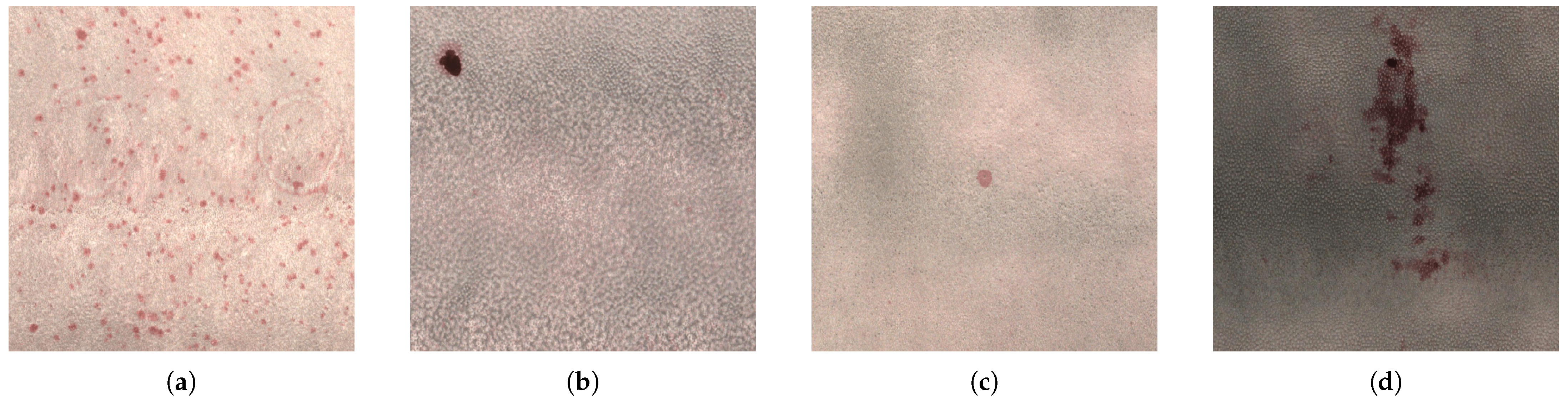 Processes 13 01212 g002