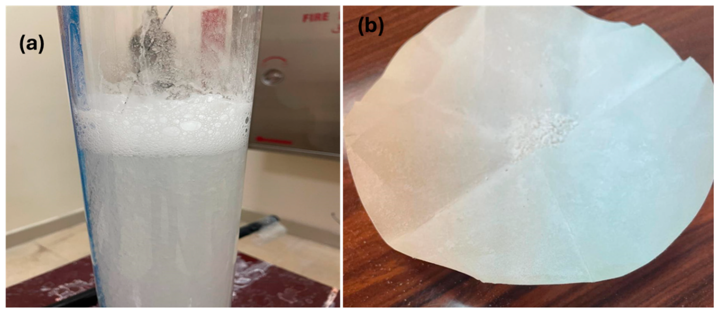 Processes 13 01259 g009