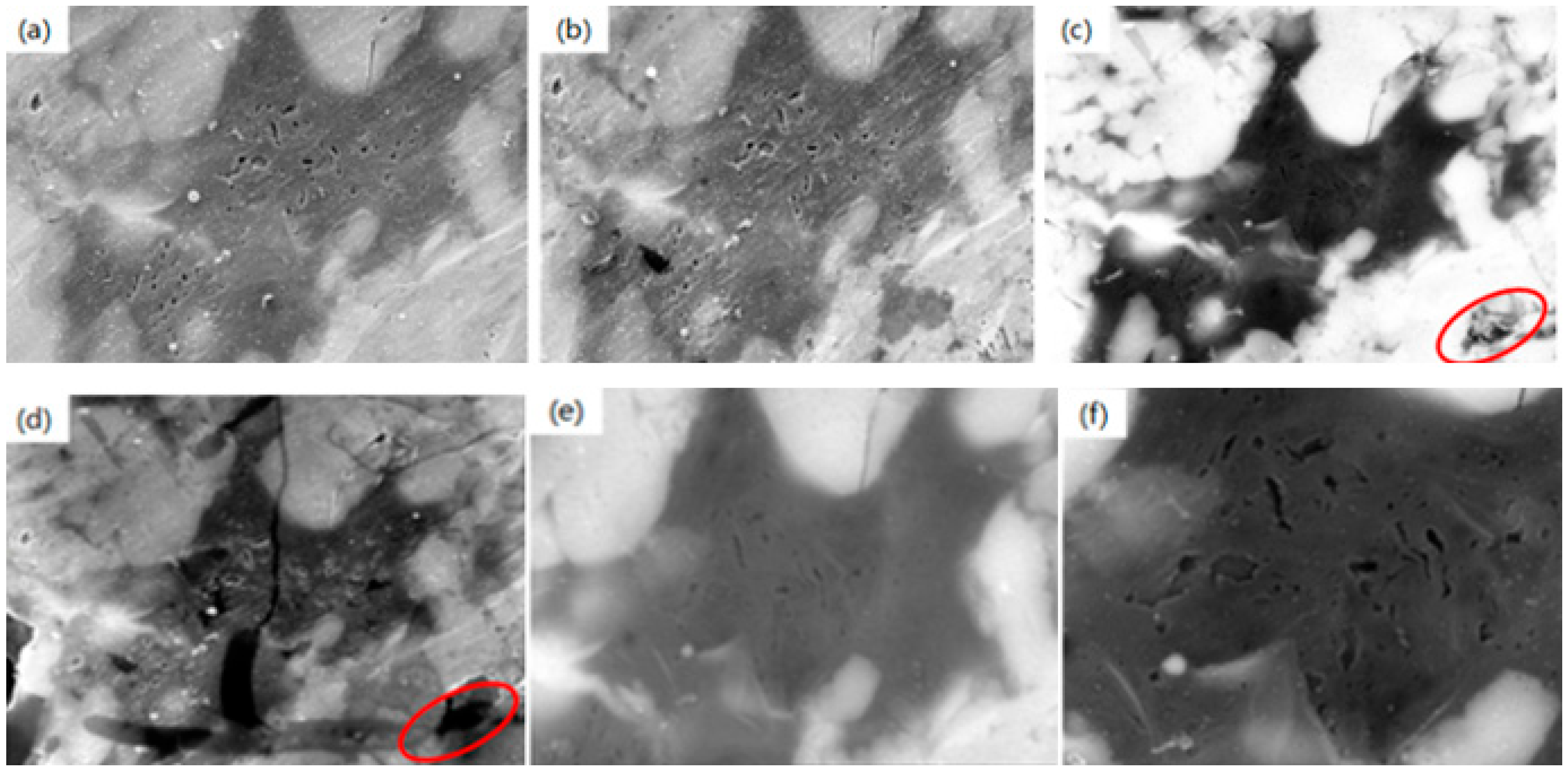 Processes 13 01265 g002