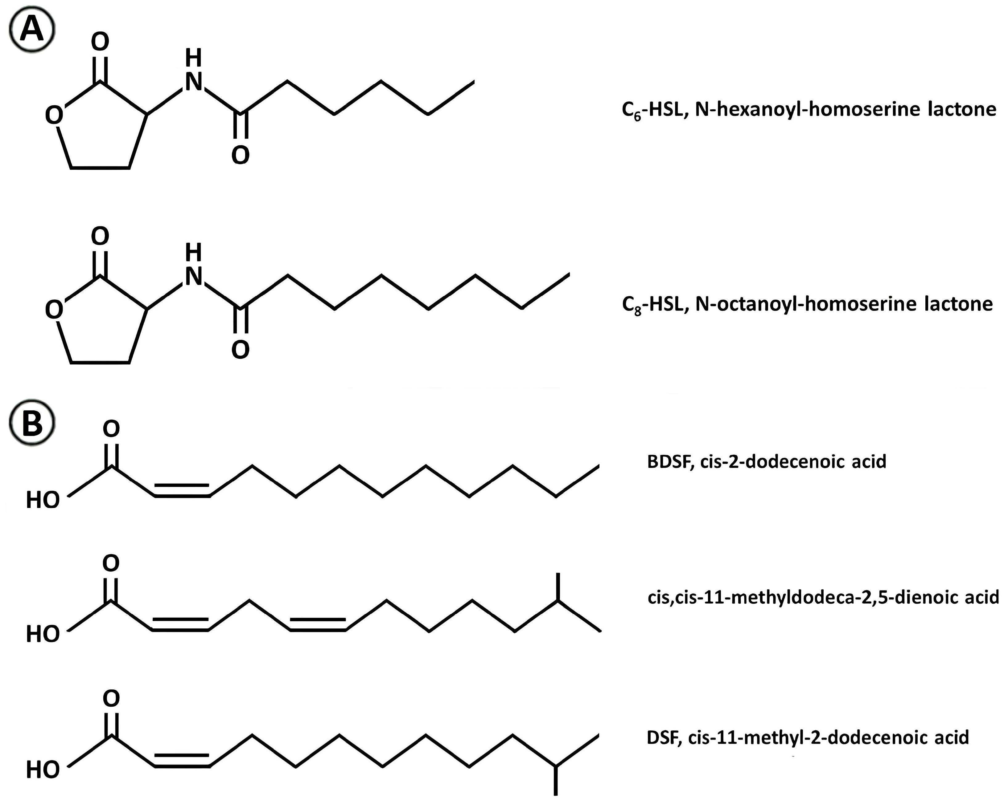 Processes 13 01270 g003 Processes 13 01270 g003