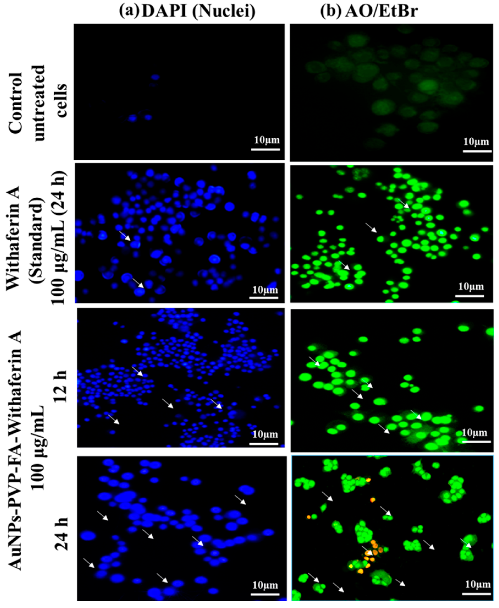 Processes 13 01290 g009