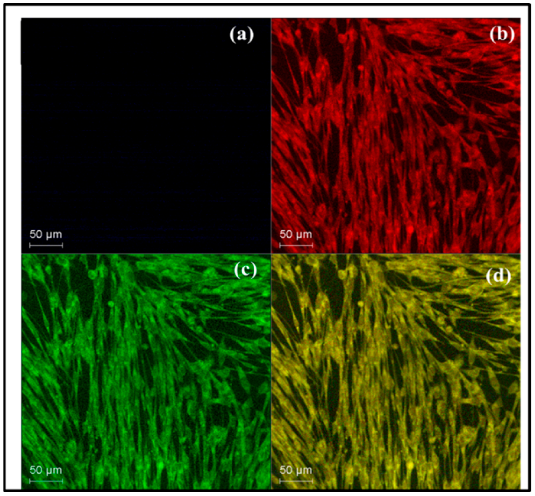 Processes 13 01290 g010