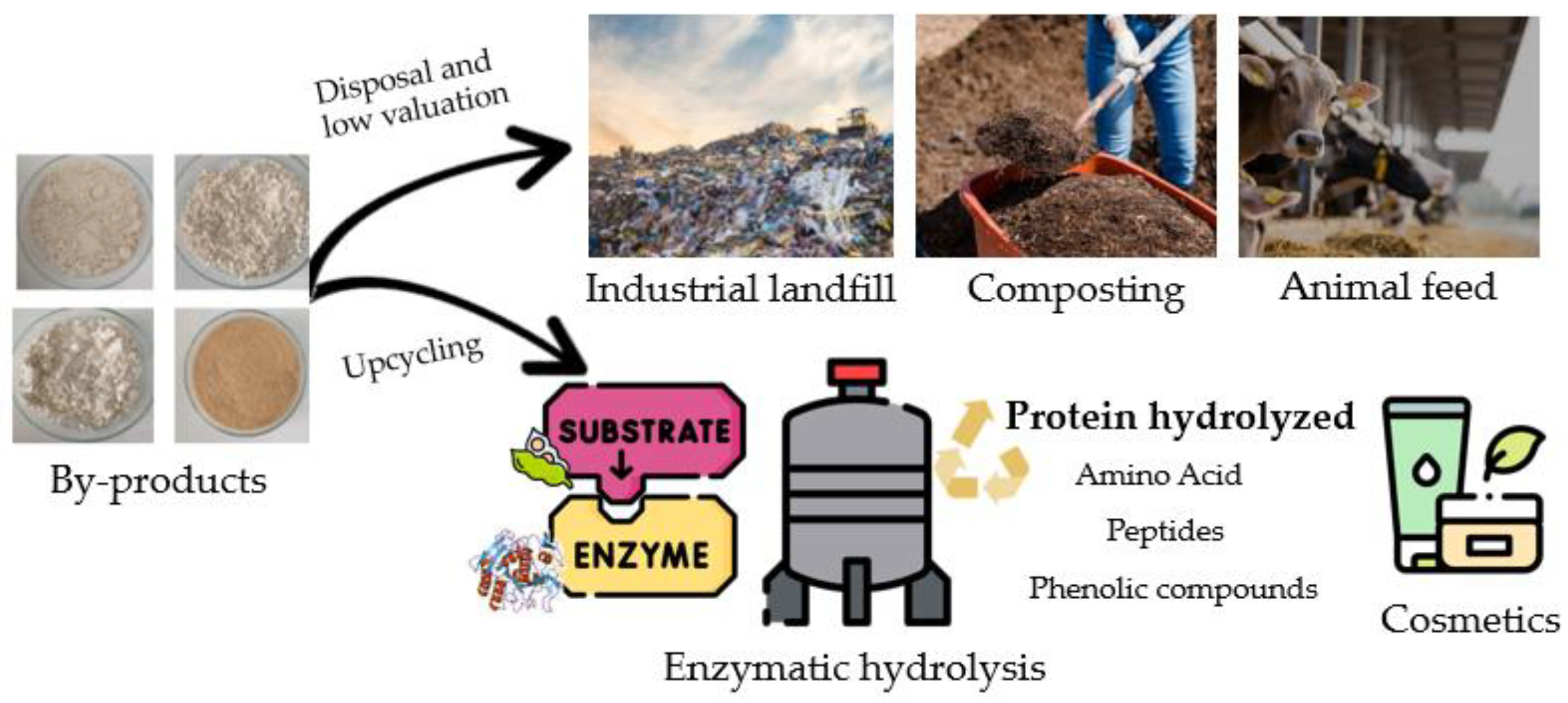 Processes 13 01314 g002
