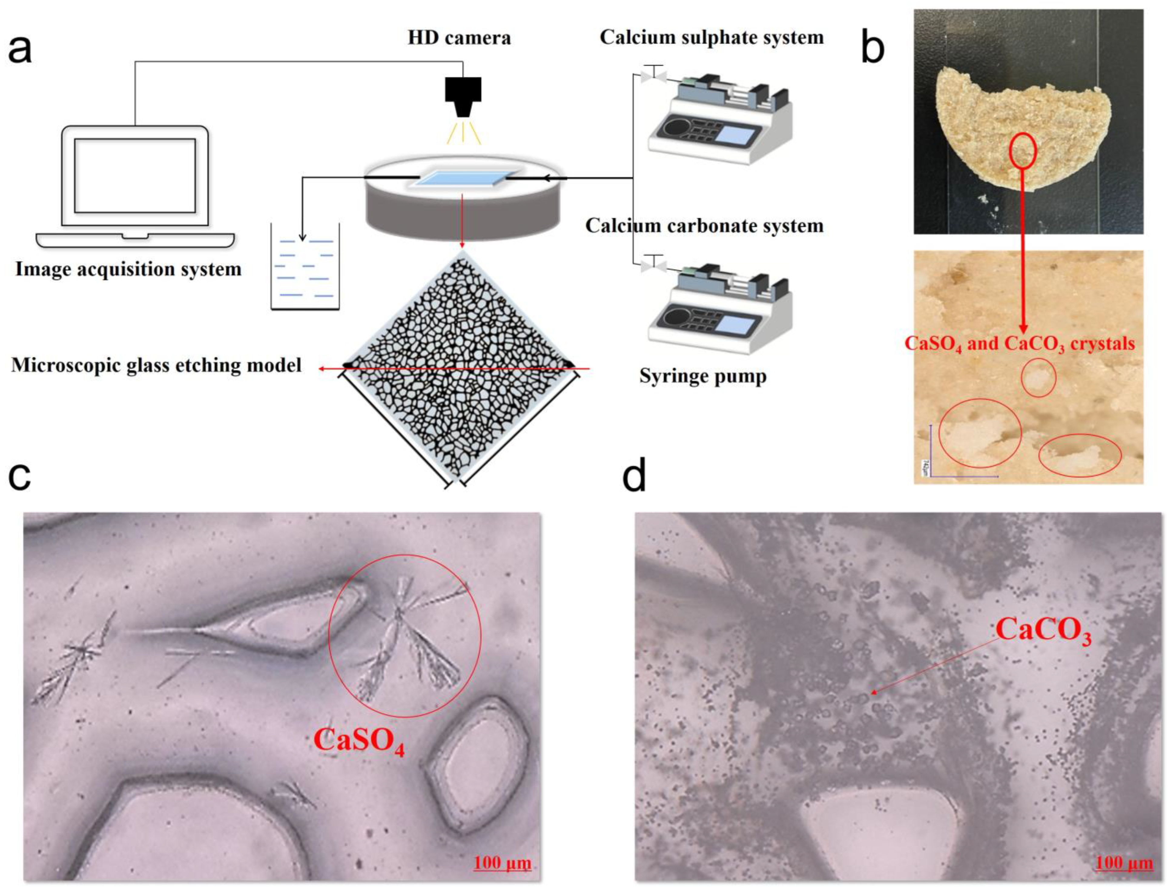 Processes 13 01319 g006