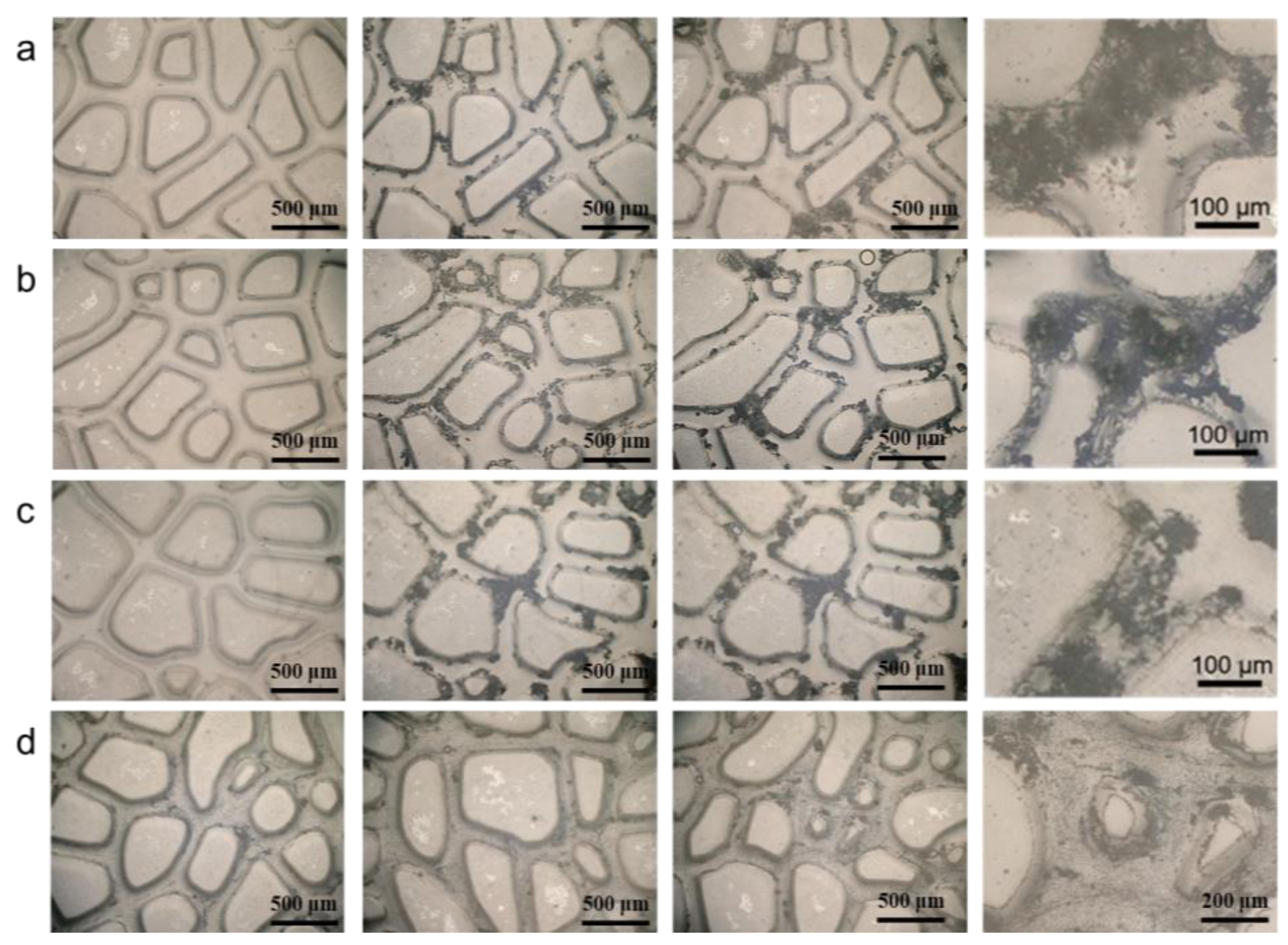 Processes 13 01319 g007
