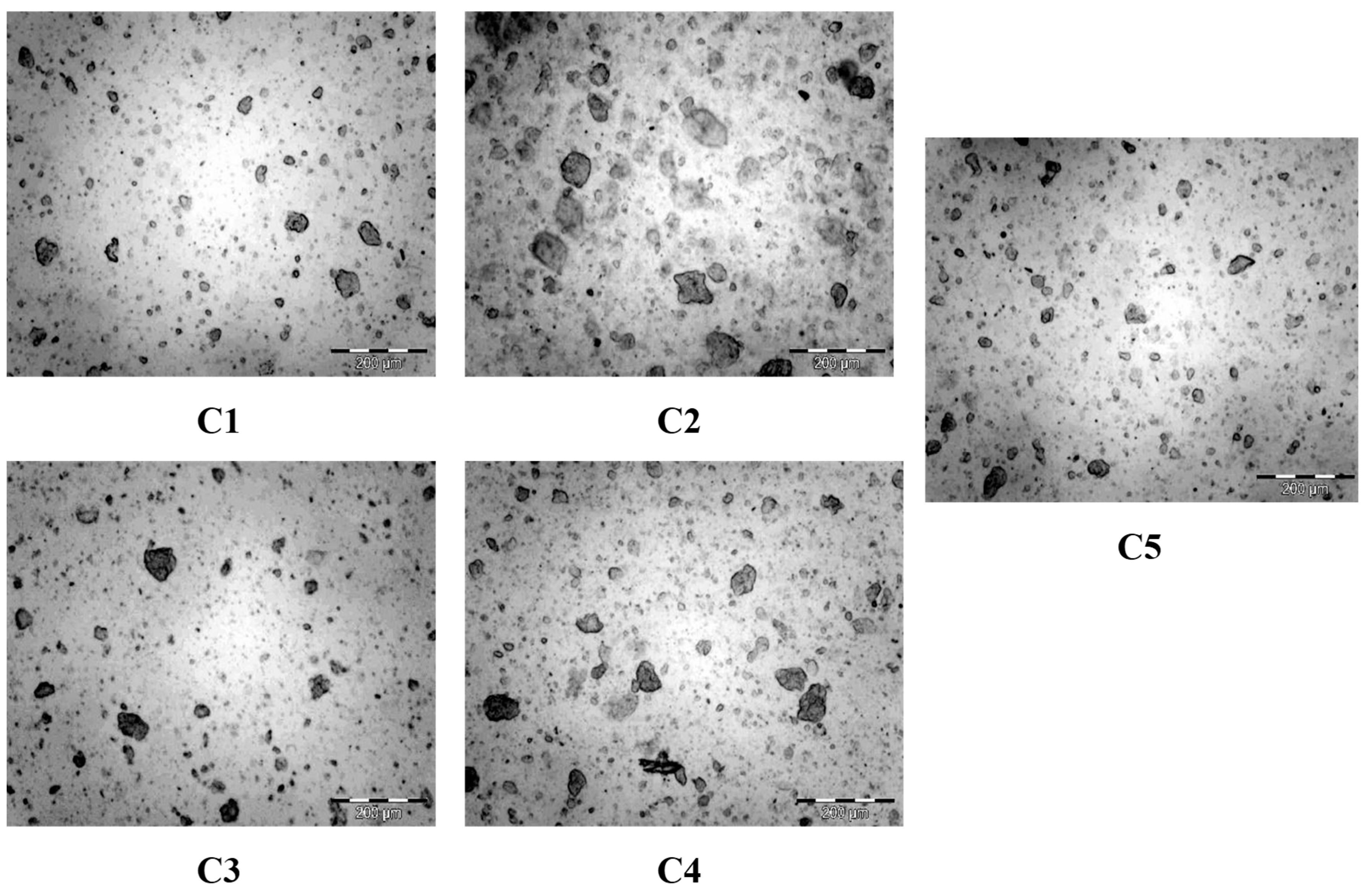 Processes 13 01332 g002 Processes 13 01332 g002