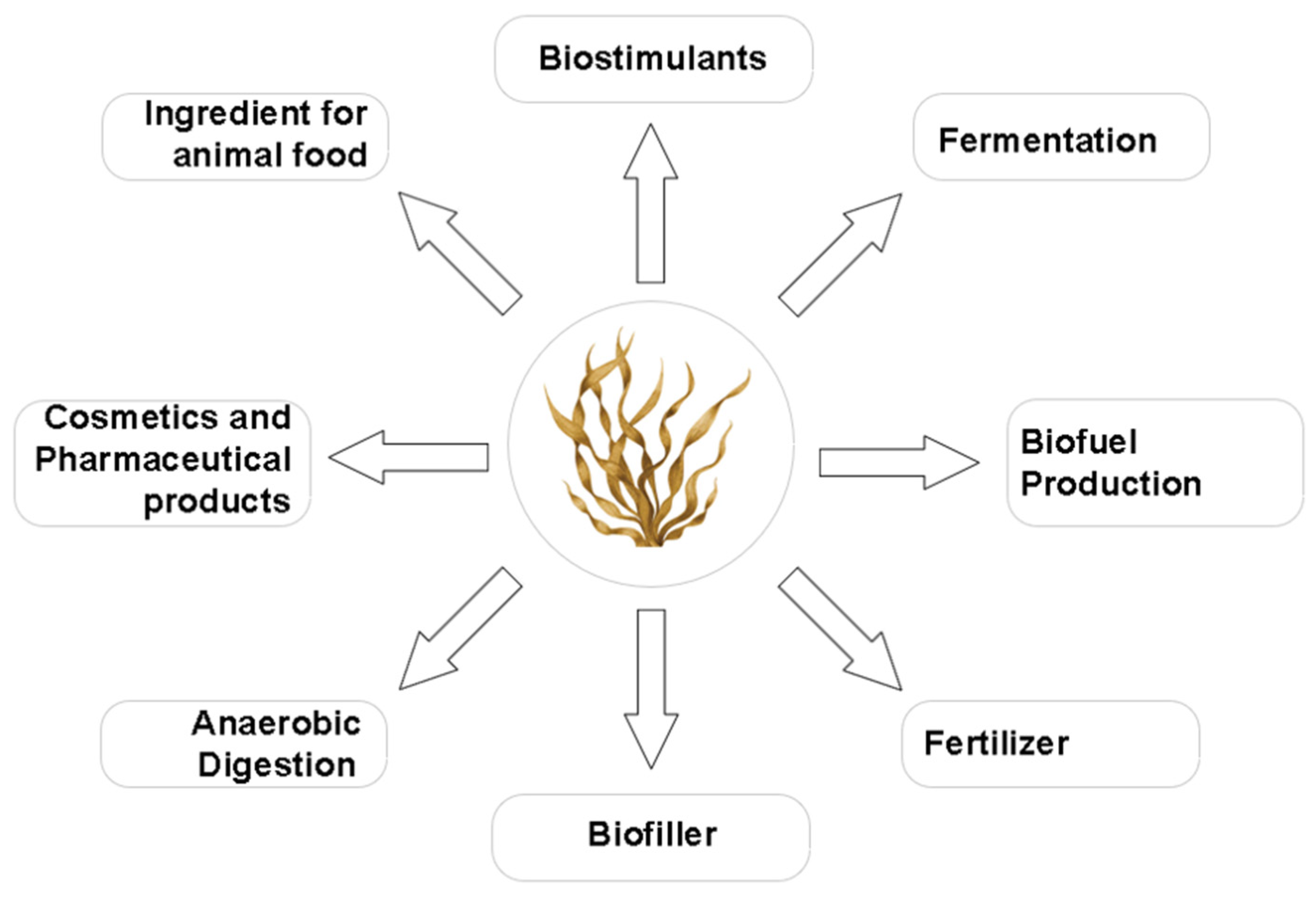 Processes 13 01345 g001