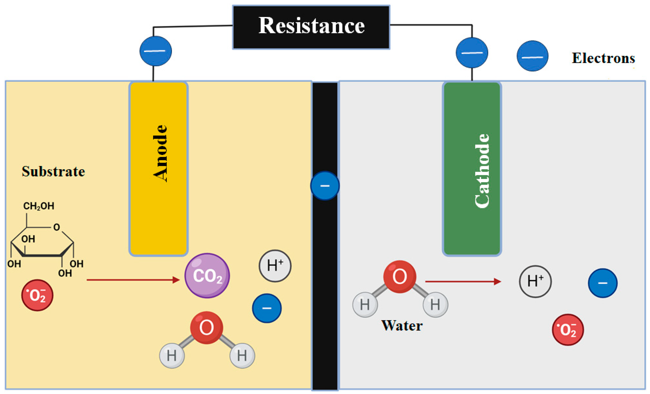 Processes 13 01348 g002
