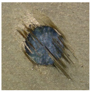 Processes 13 01376 i004