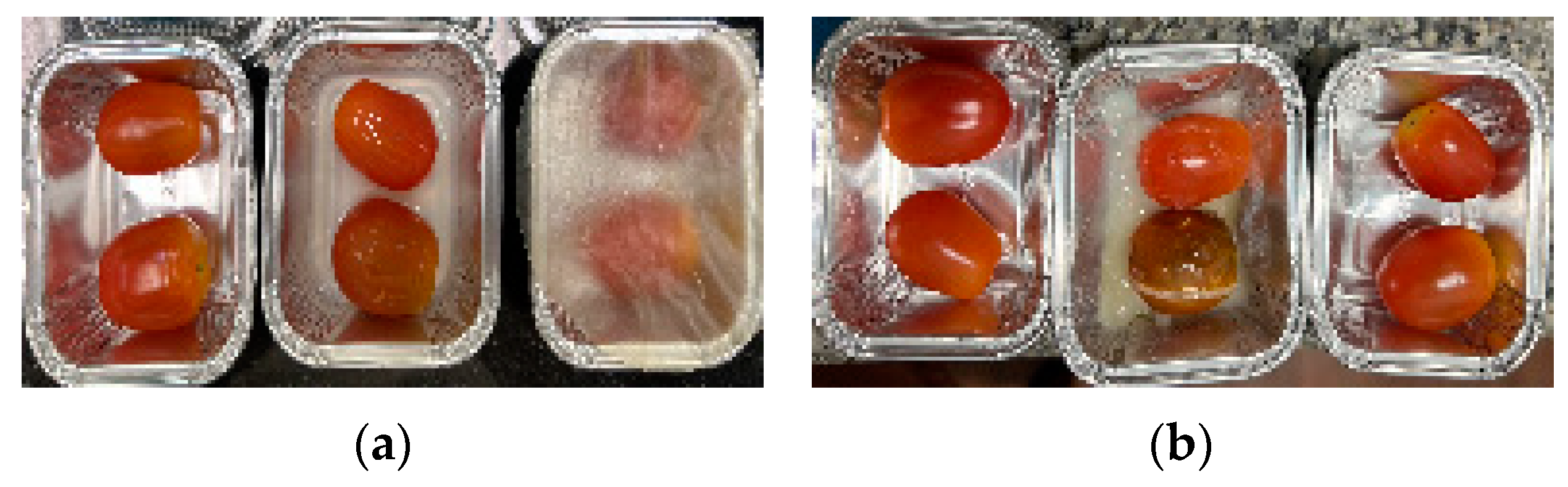 Processes 13 01387 g008