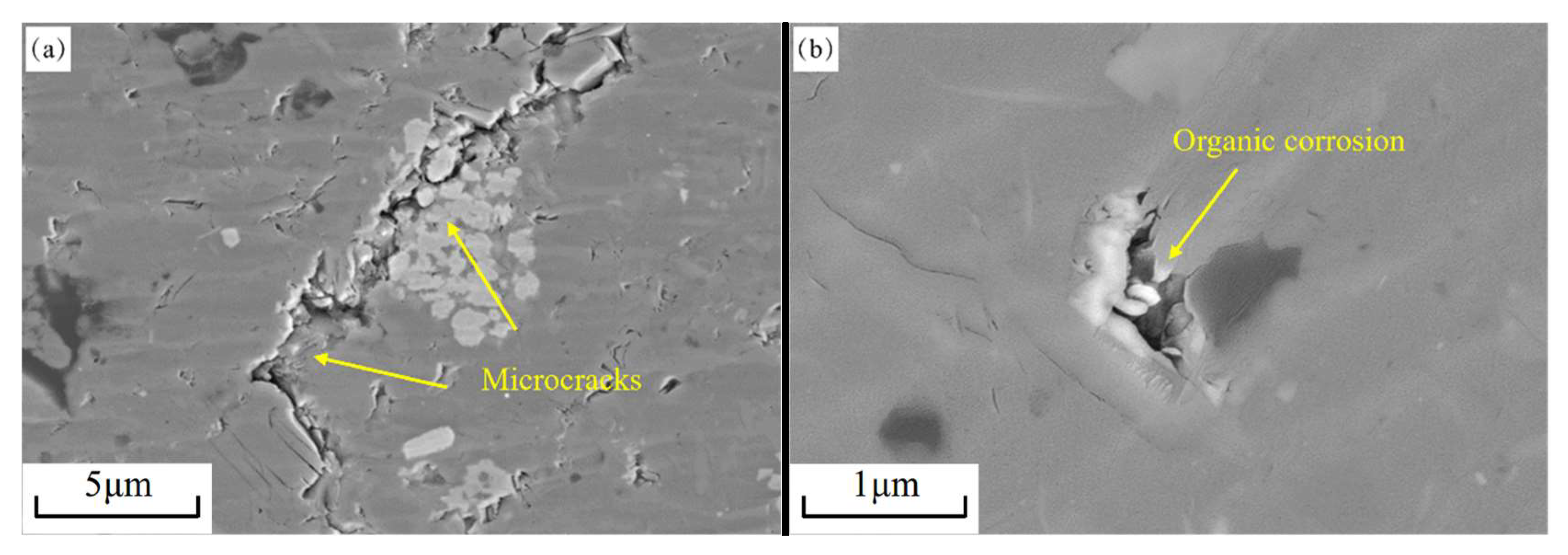 Processes 13 01398 g005a