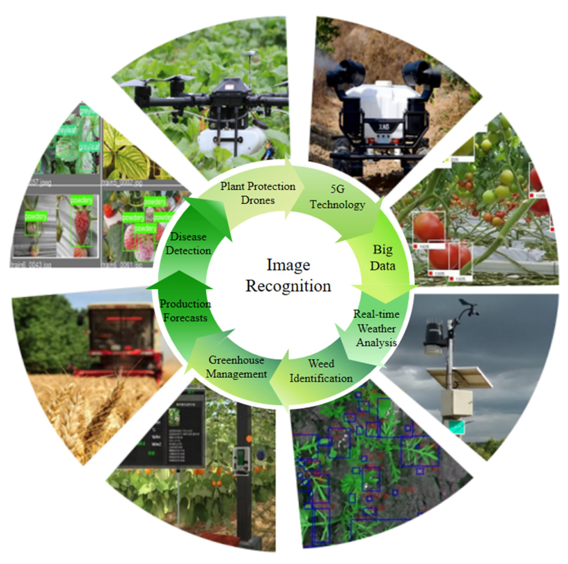 Processes 13 01402 g001