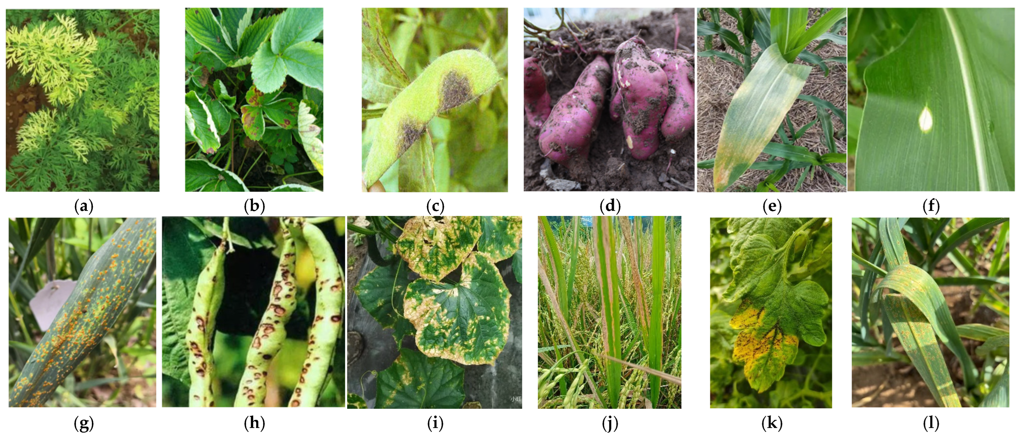 Processes 13 01402 g004