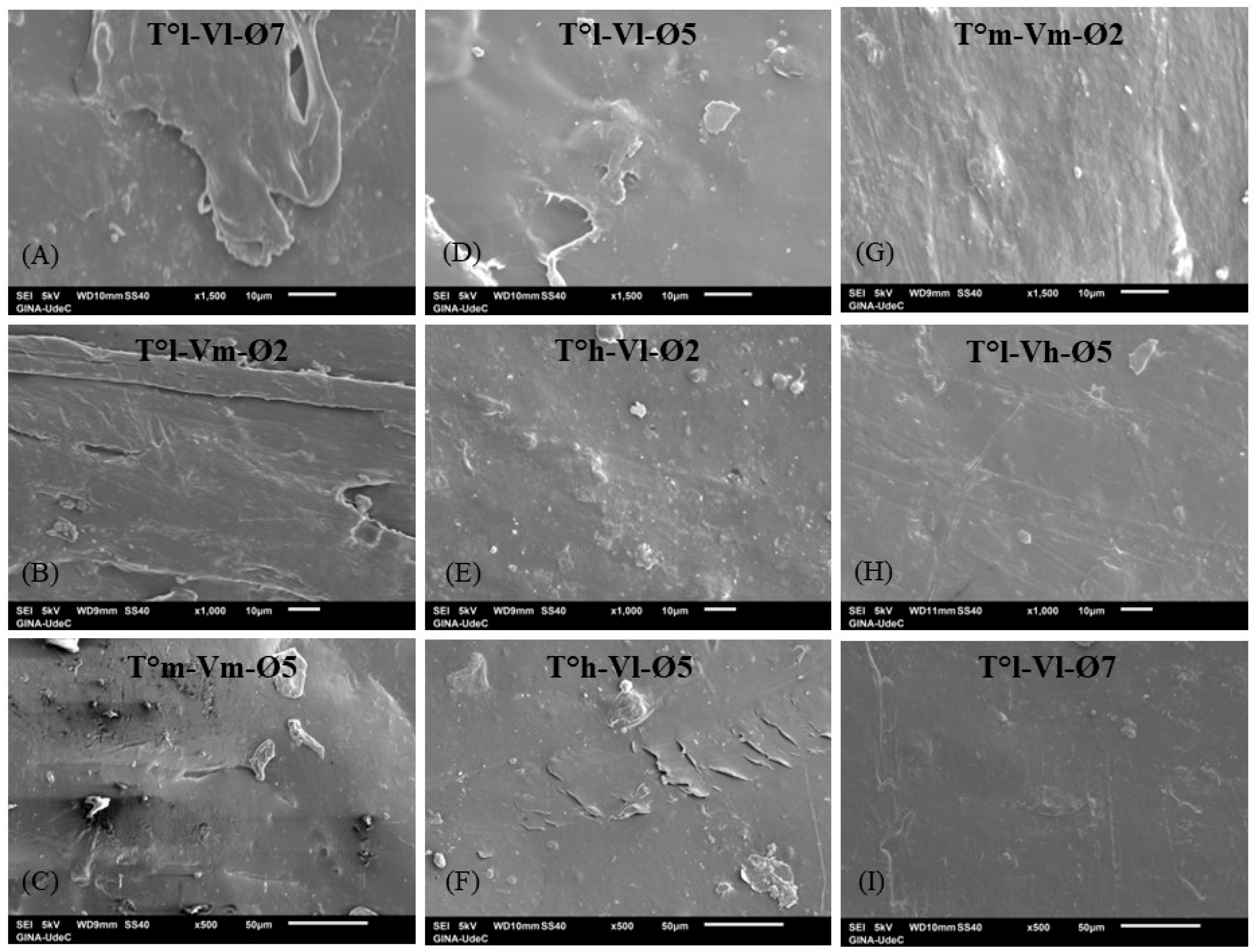 Processes 13 01426 g004