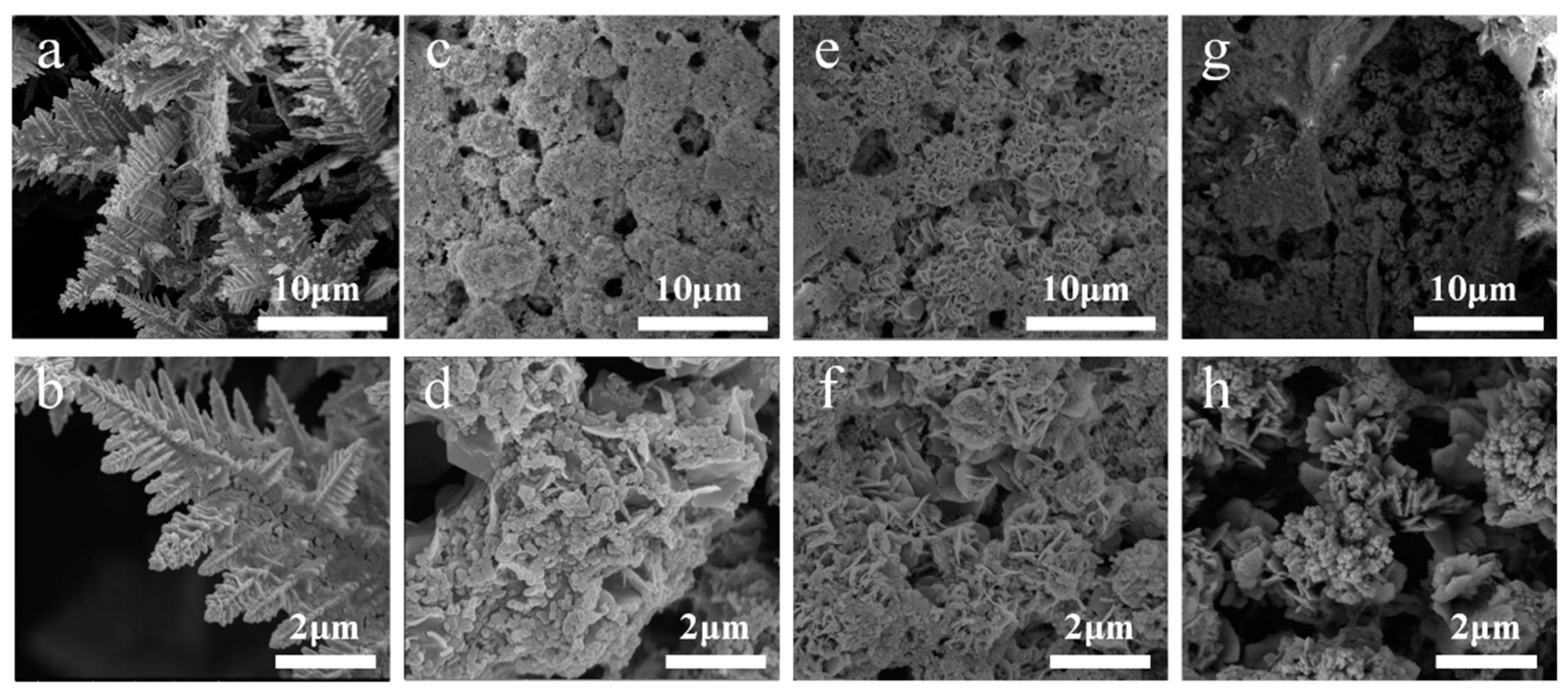 Processes 13 01454 g003