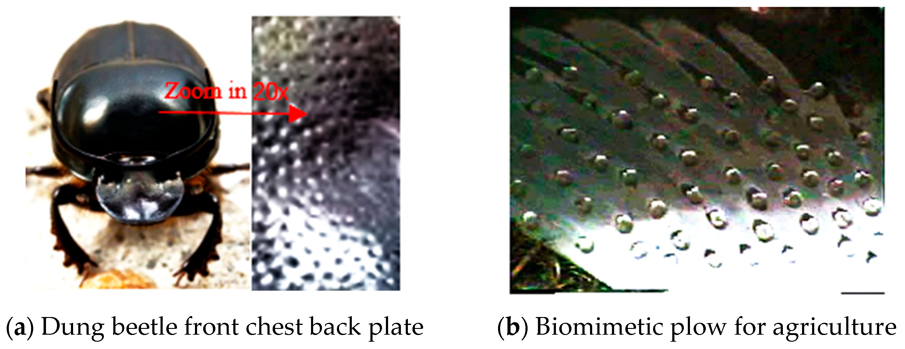 Processes 13 01464 g001