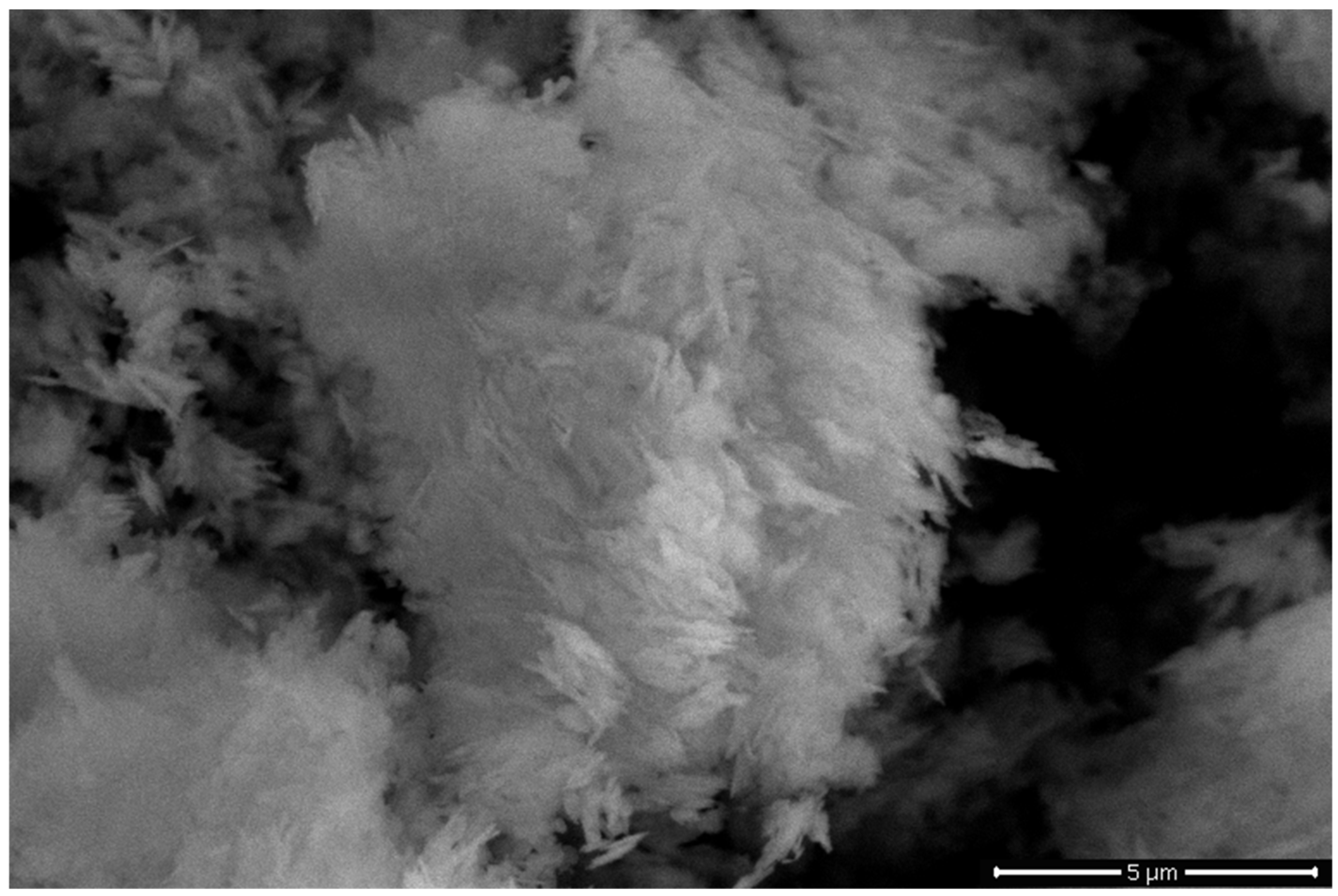 Processes 13 01471 g011