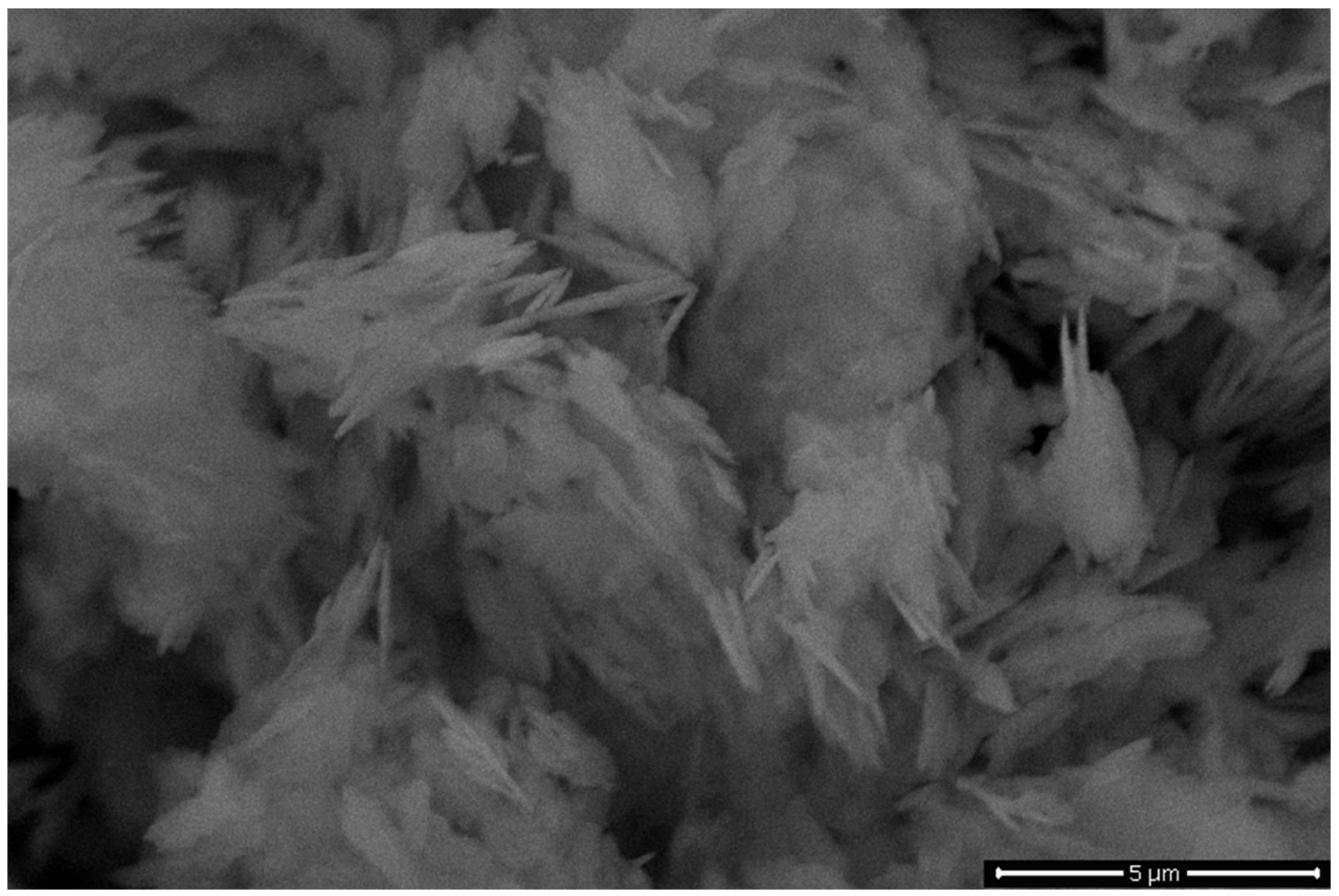 Processes 13 01471 g012