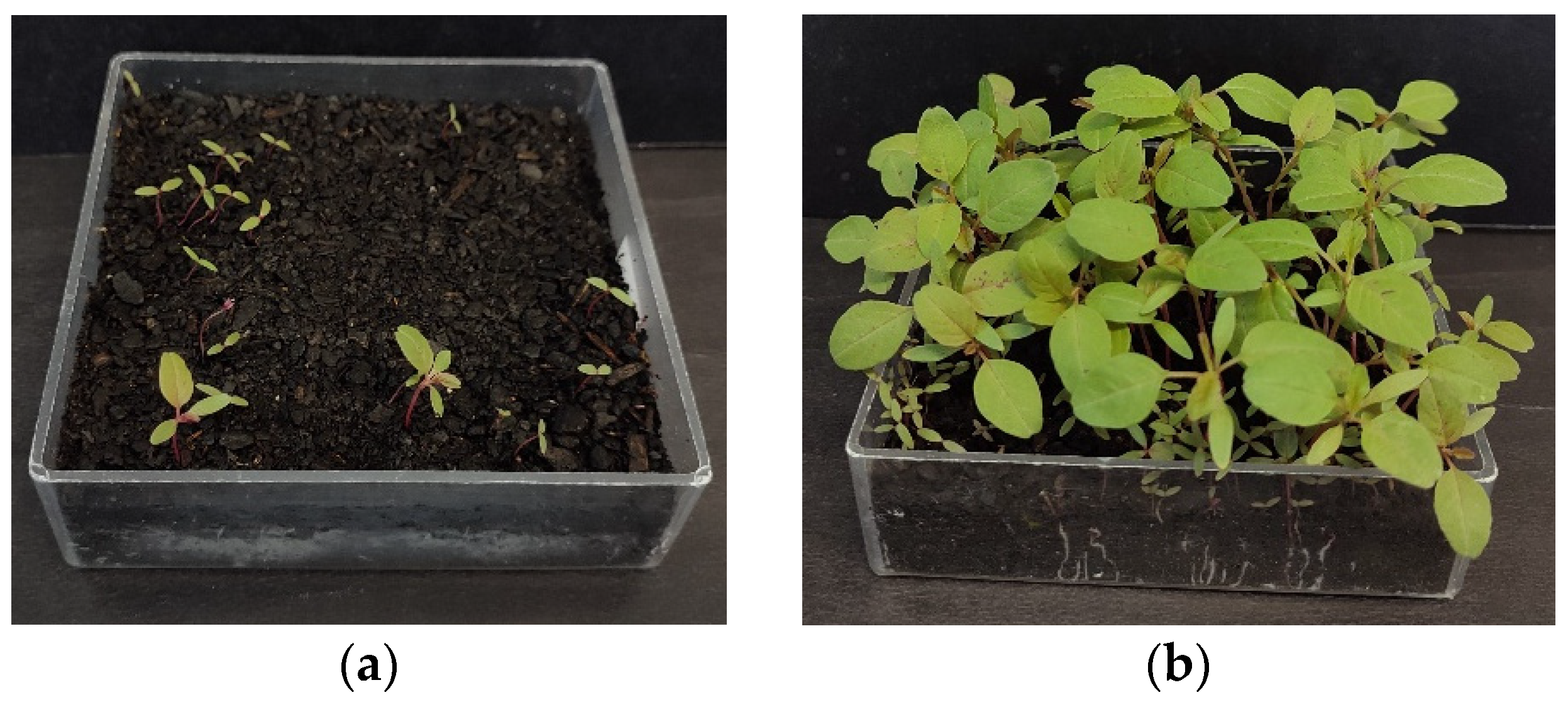 Processes 13 01488 g002