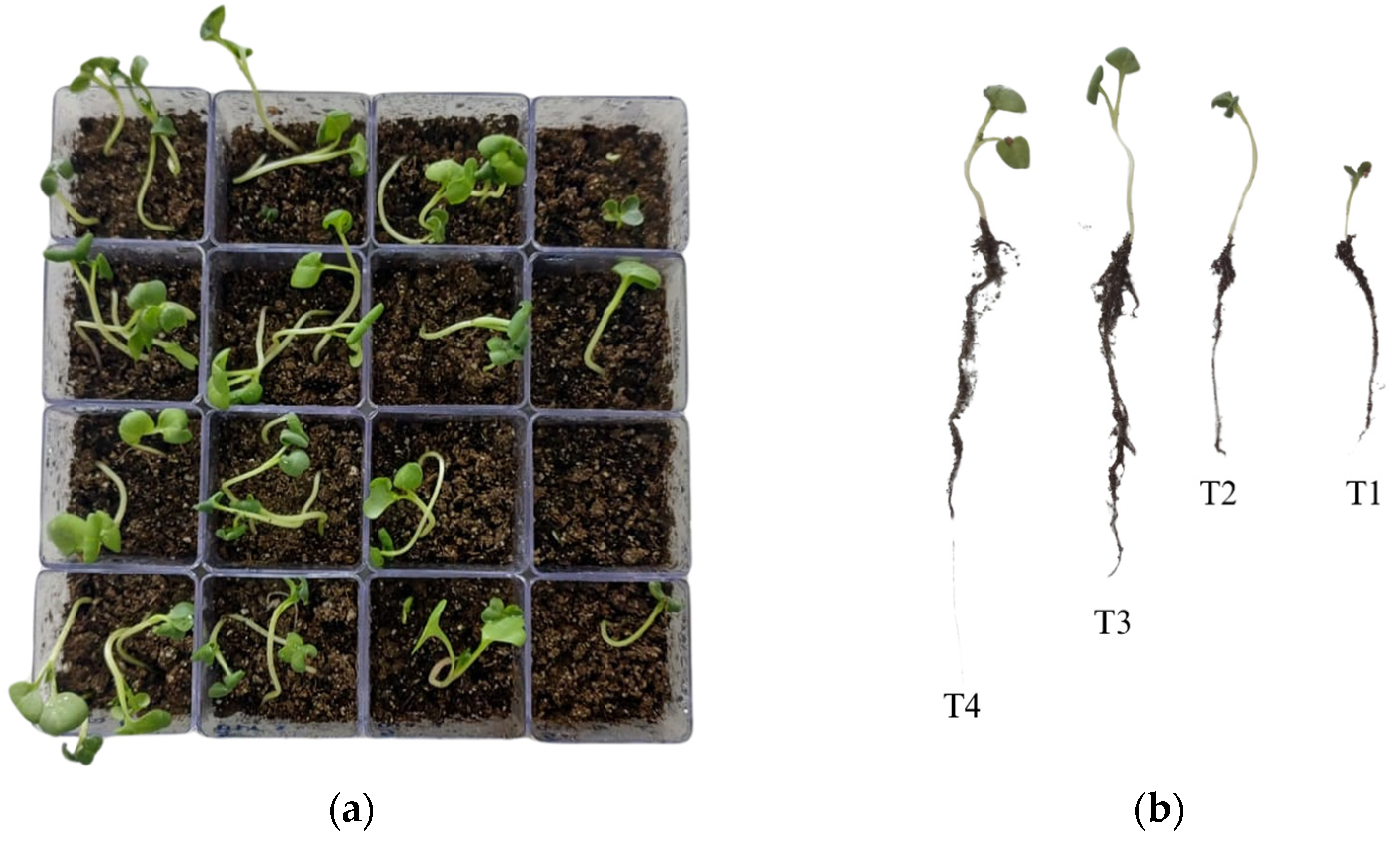 Processes 13 01488 g004