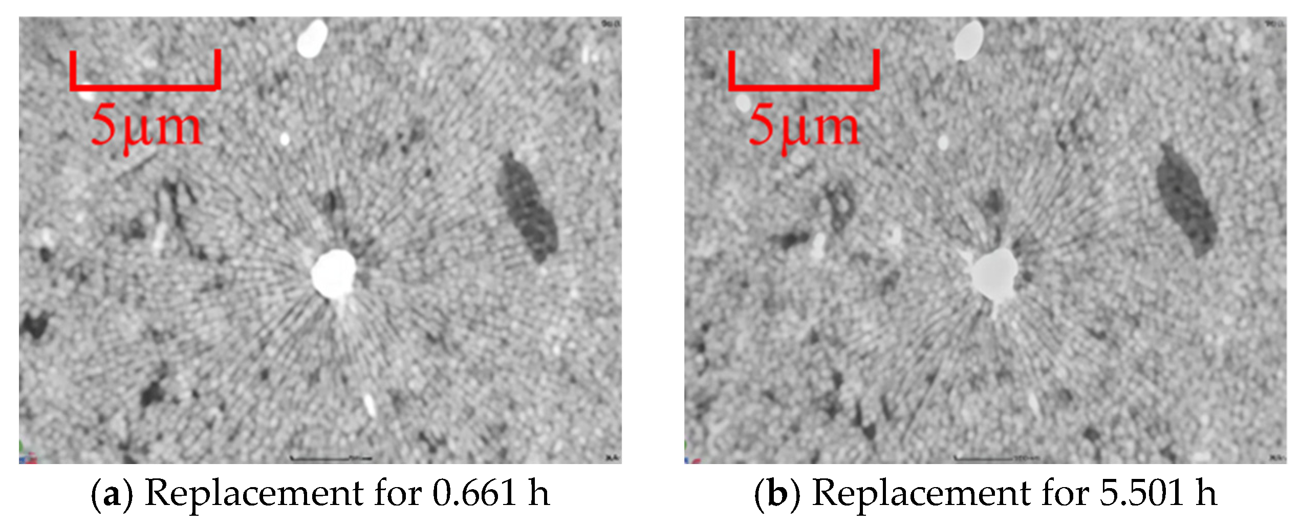 Processes 13 01490 g004