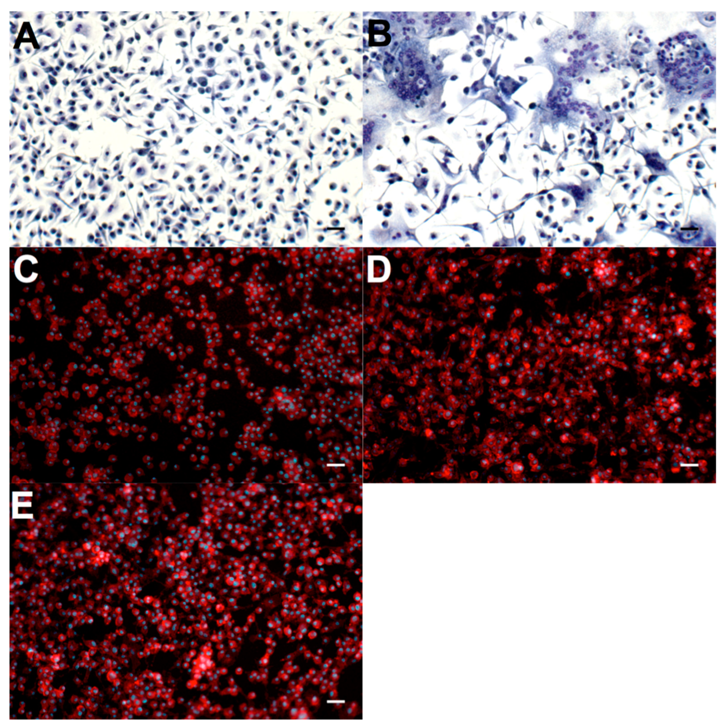 Processes 13 01502 g006
