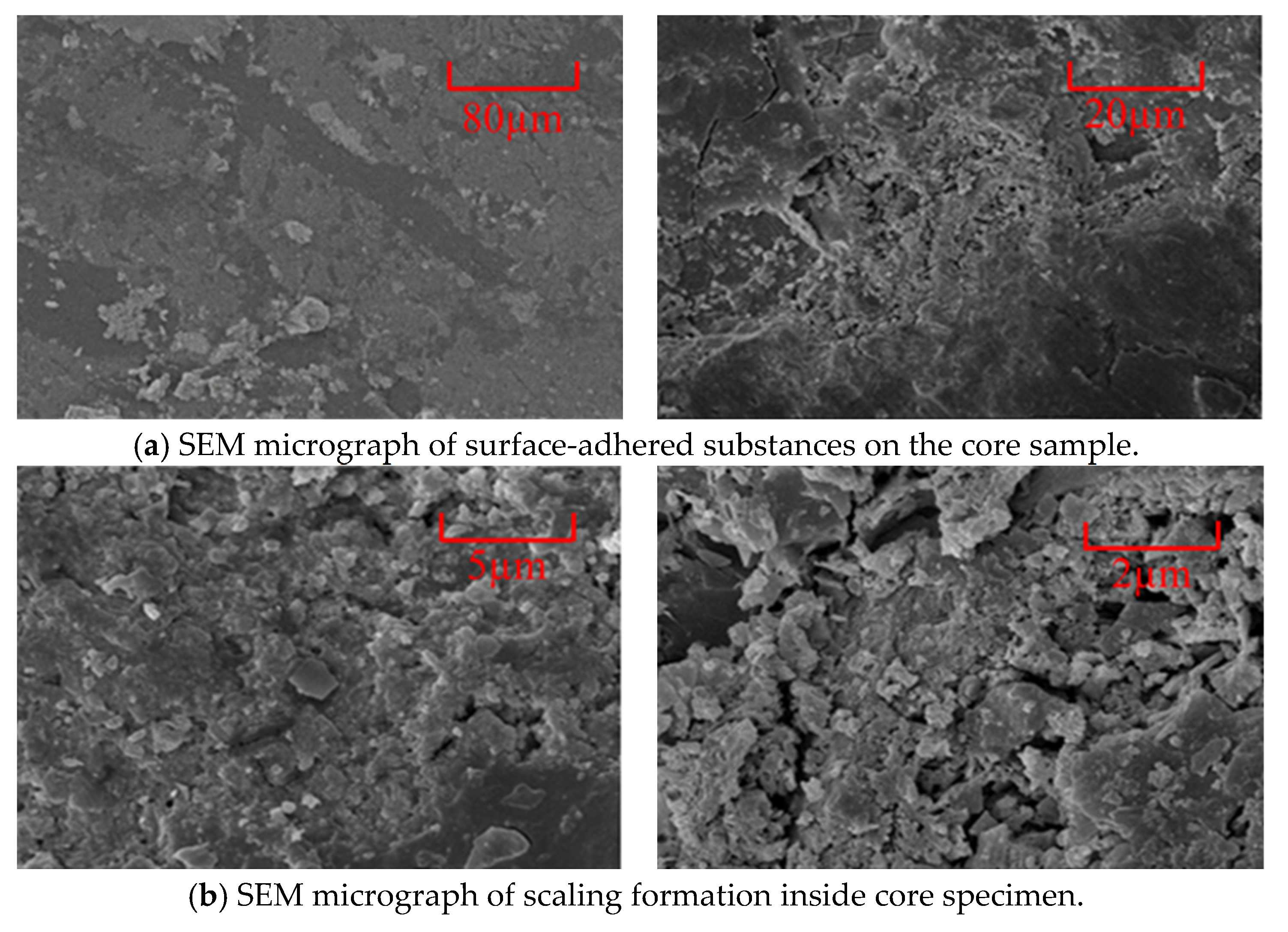 Processes 13 01511 g008