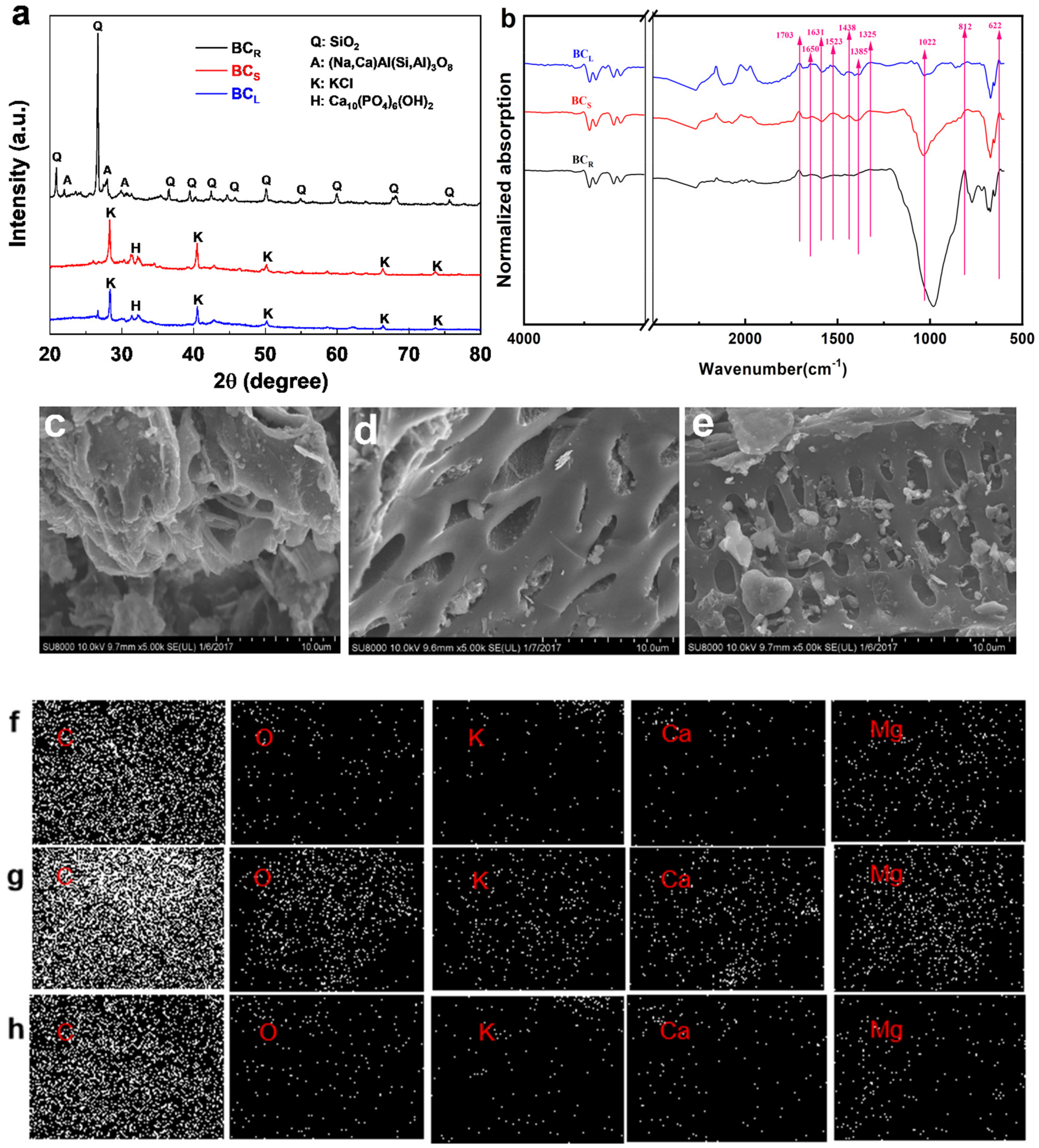 Processes 13 01520 g002