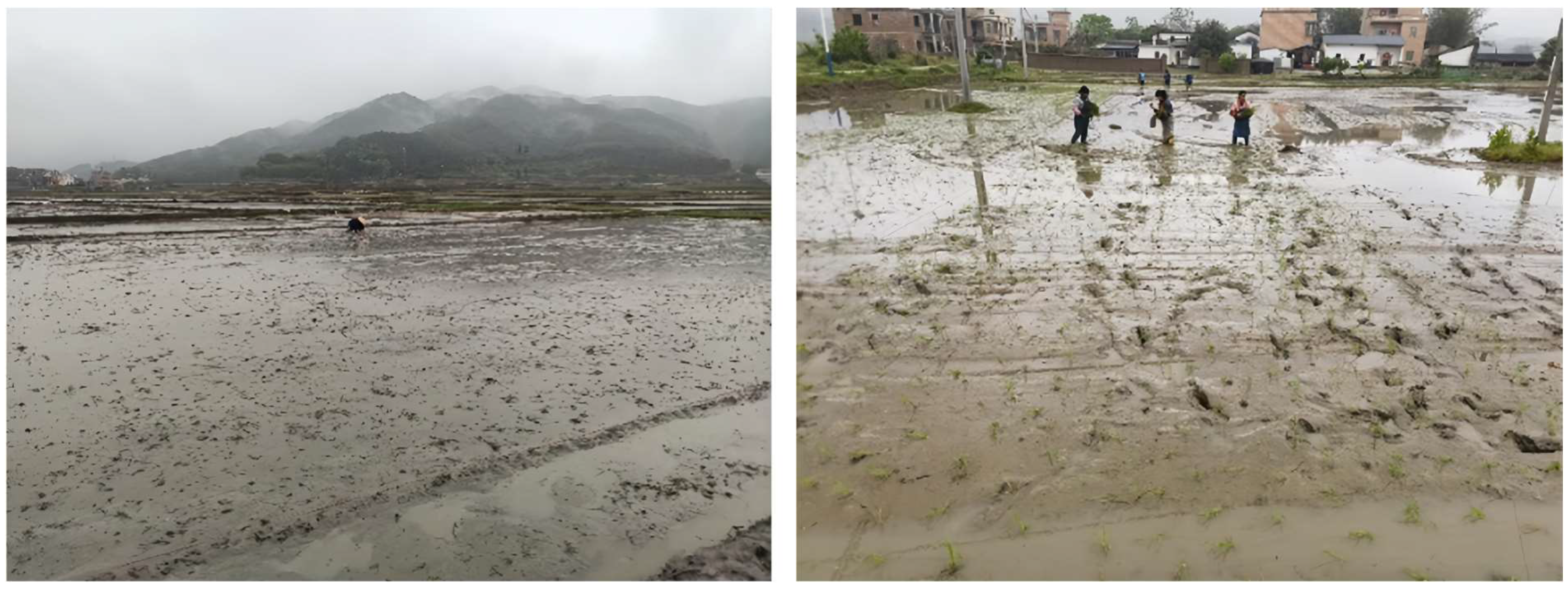 Processes 13 01542 g002