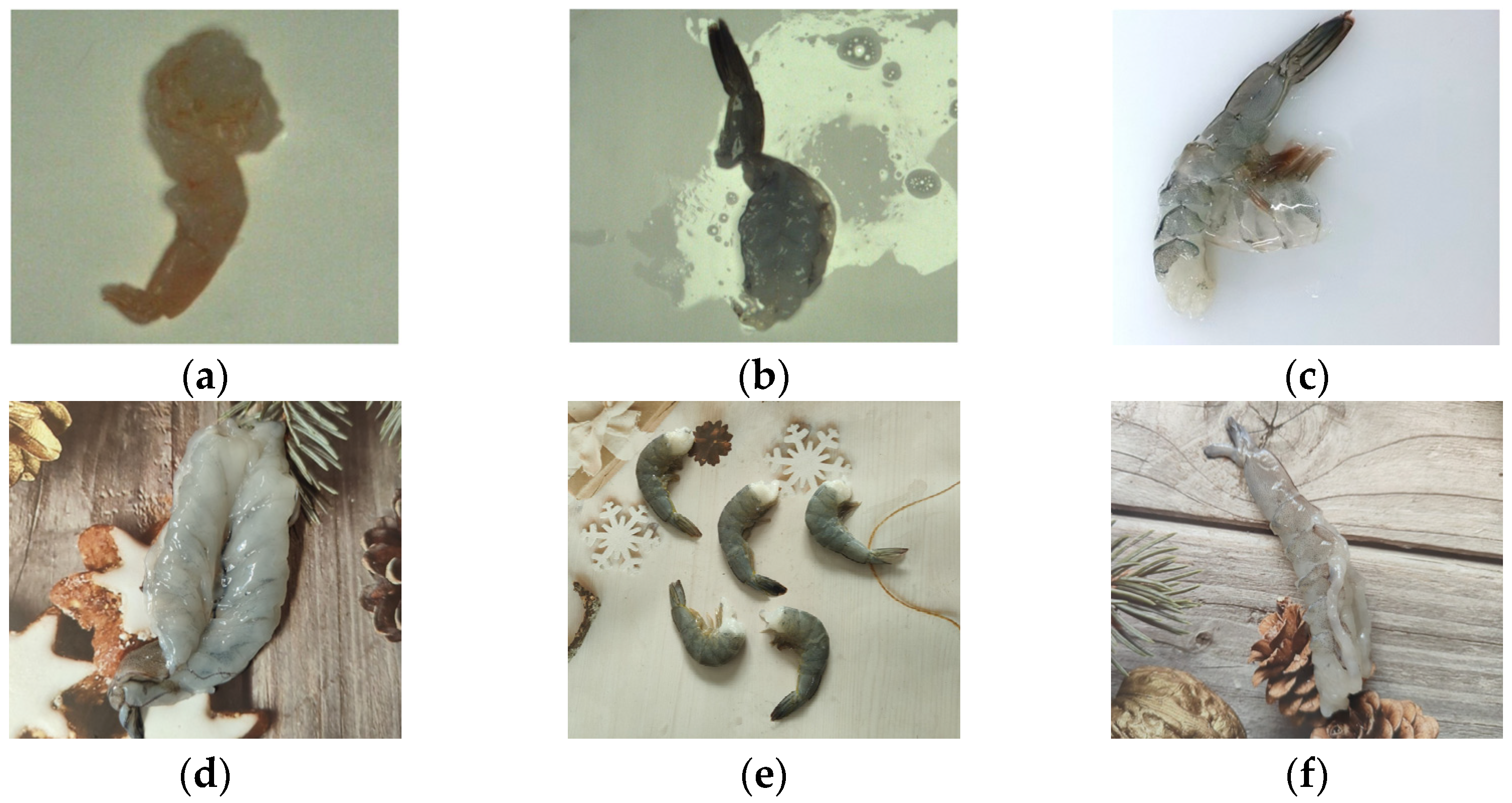 Processes 13 01556 g002a