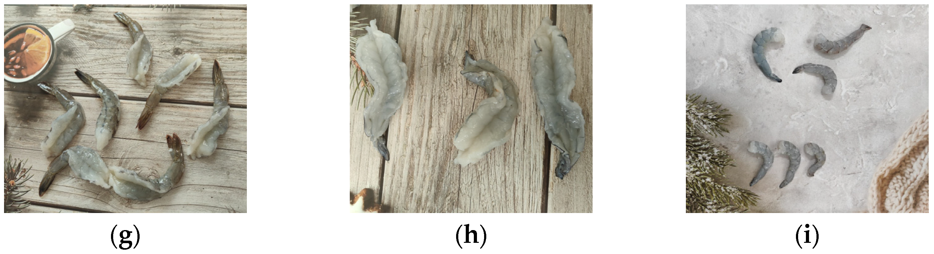 Processes 13 01556 g002b