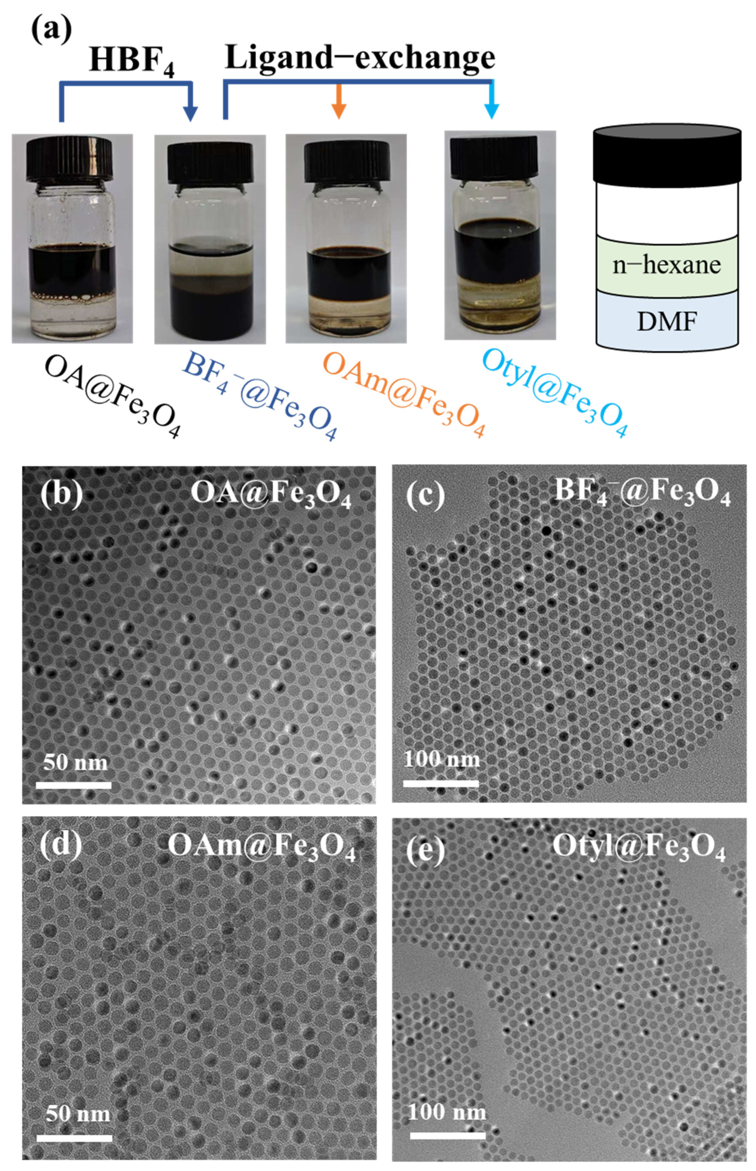 Processes 13 01558 g002
