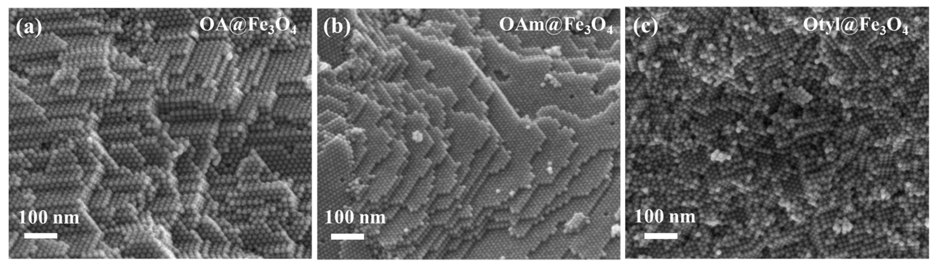 Processes 13 01558 g003