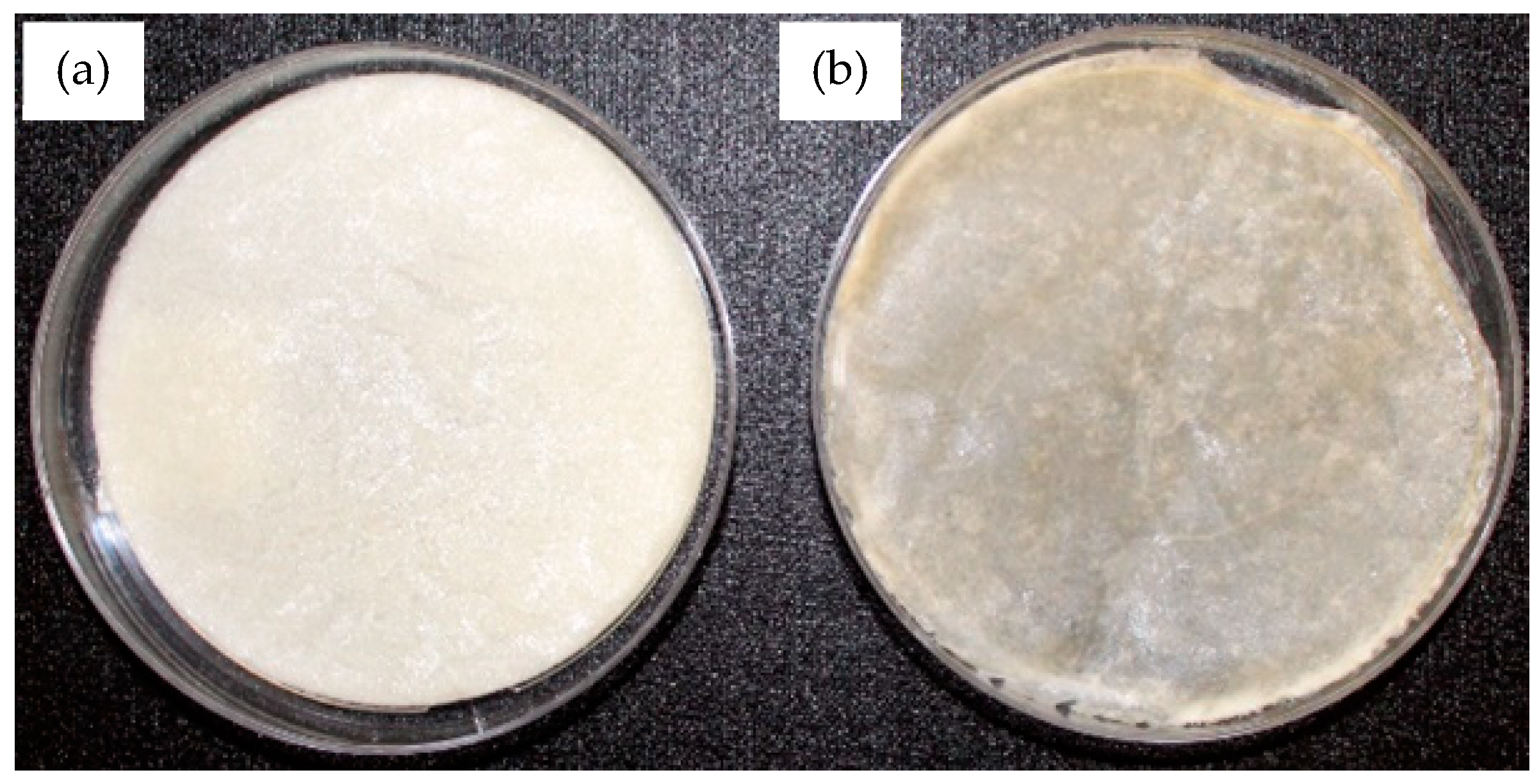 Processes 13 01559 g008