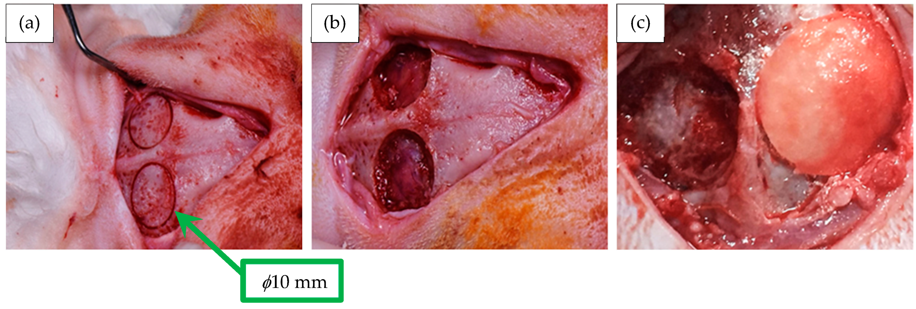 Processes 13 01559 g010